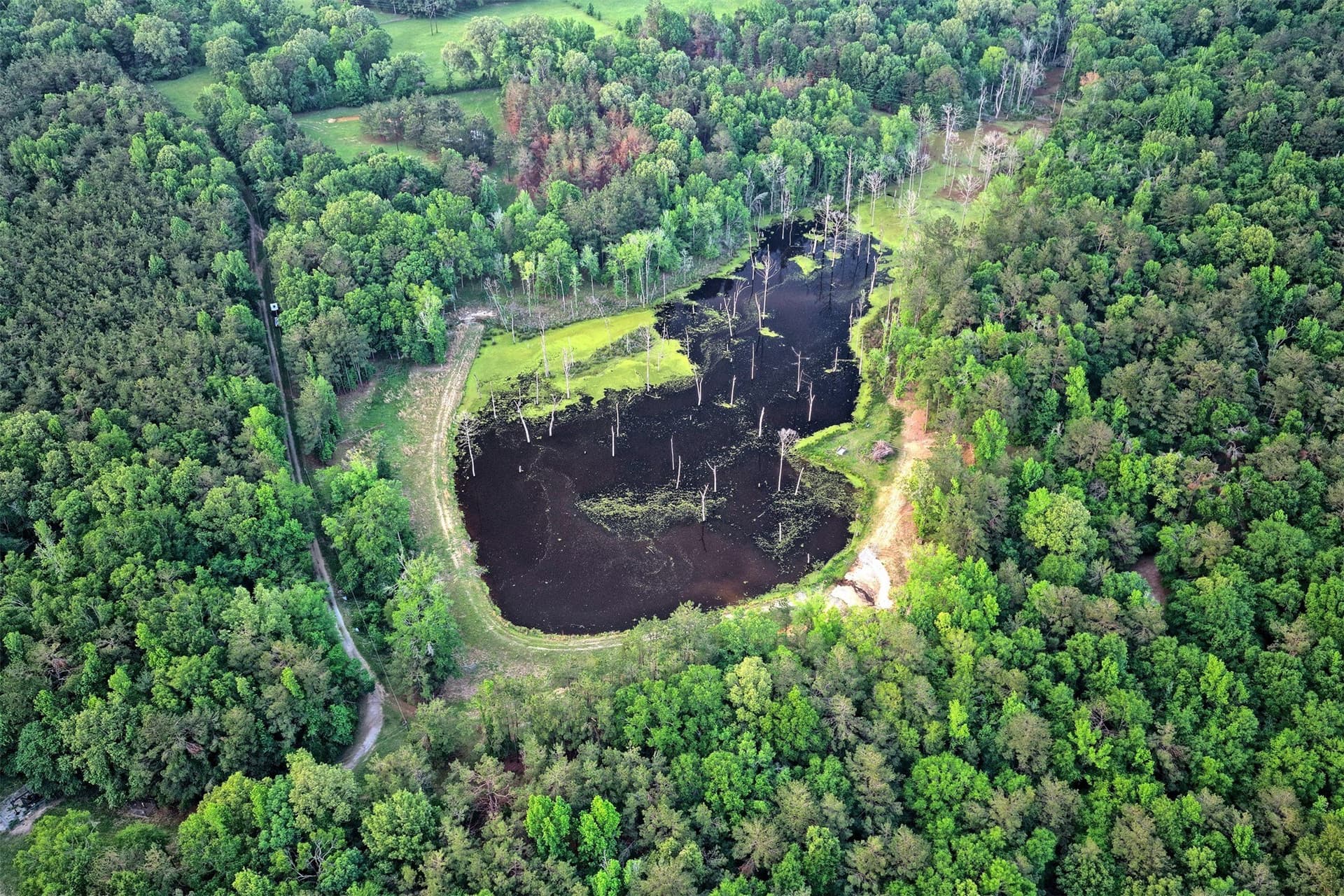 340.63 acres in Panola County - photo 38