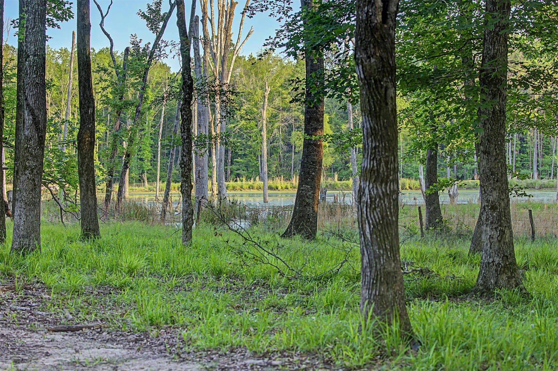 340.63 acres in Panola County - photo 31