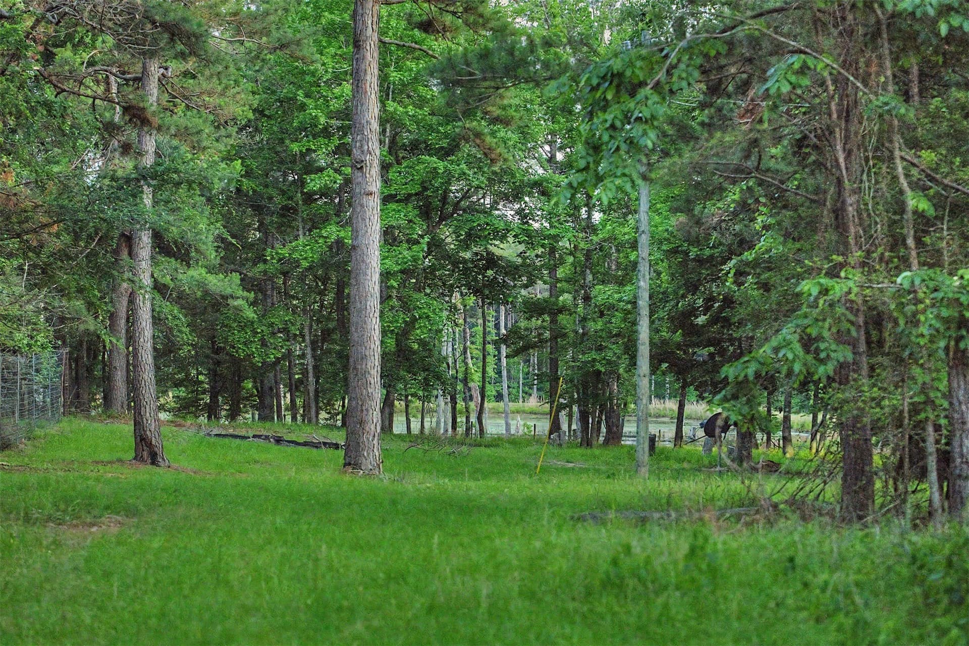 340.63 acres in Panola County - photo 36