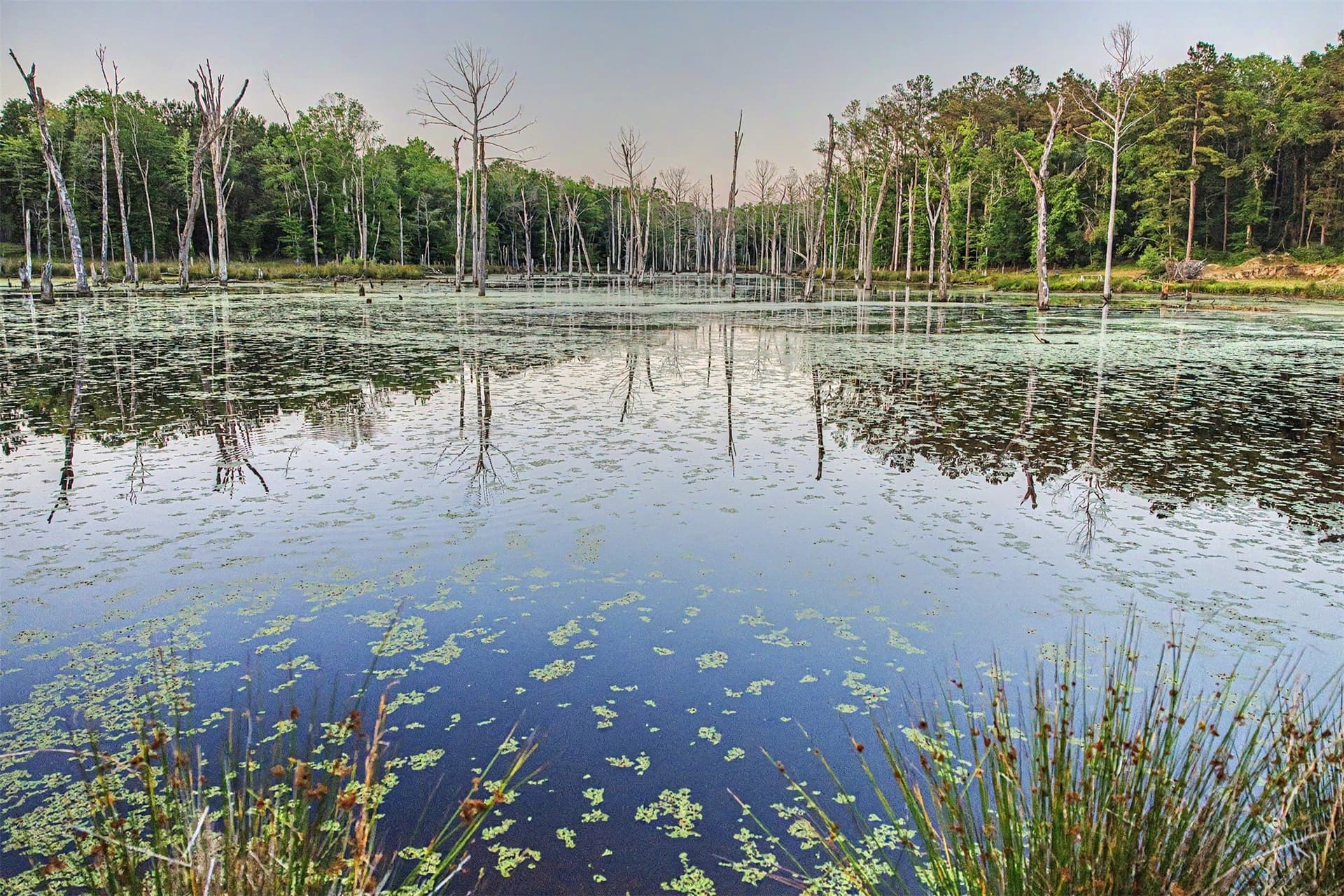 340.63 acres in Panola County - photo 16