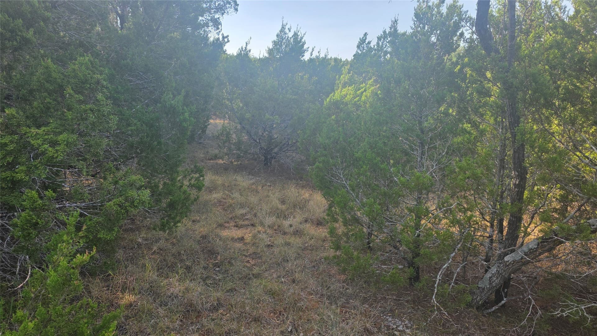 0.36 acres in Hill County - photo 4