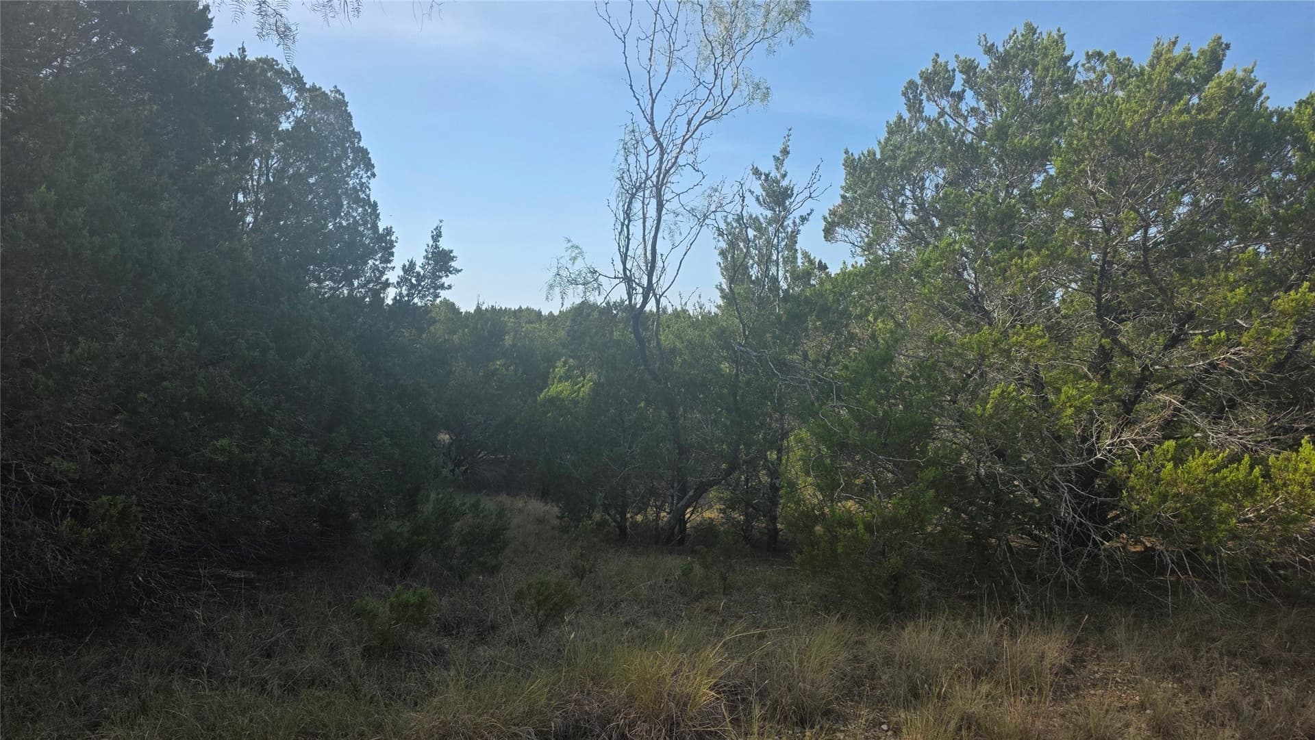 0.36 acres in Hill County - photo 9