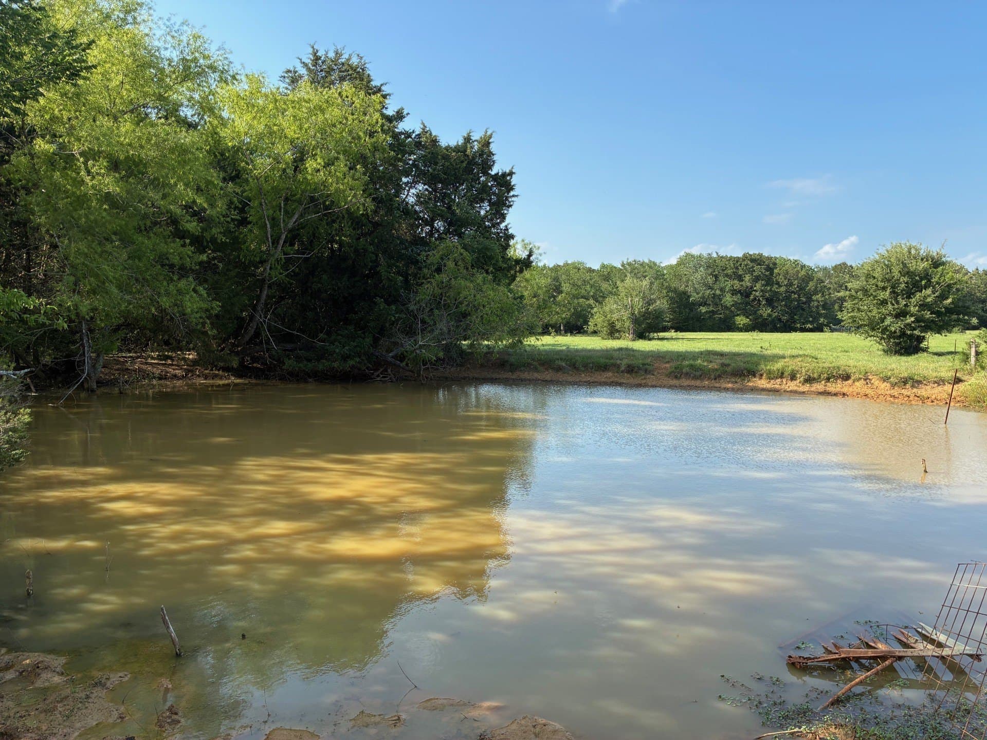 30.23 acres in Freestone County - photo 12