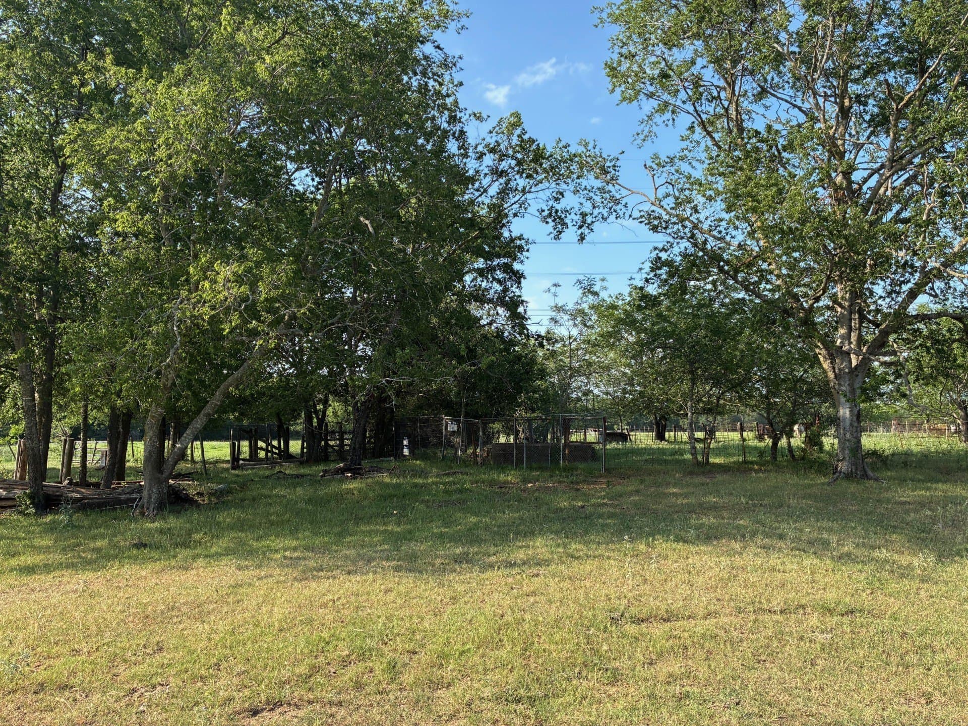30.23 acres in Freestone County - photo 7