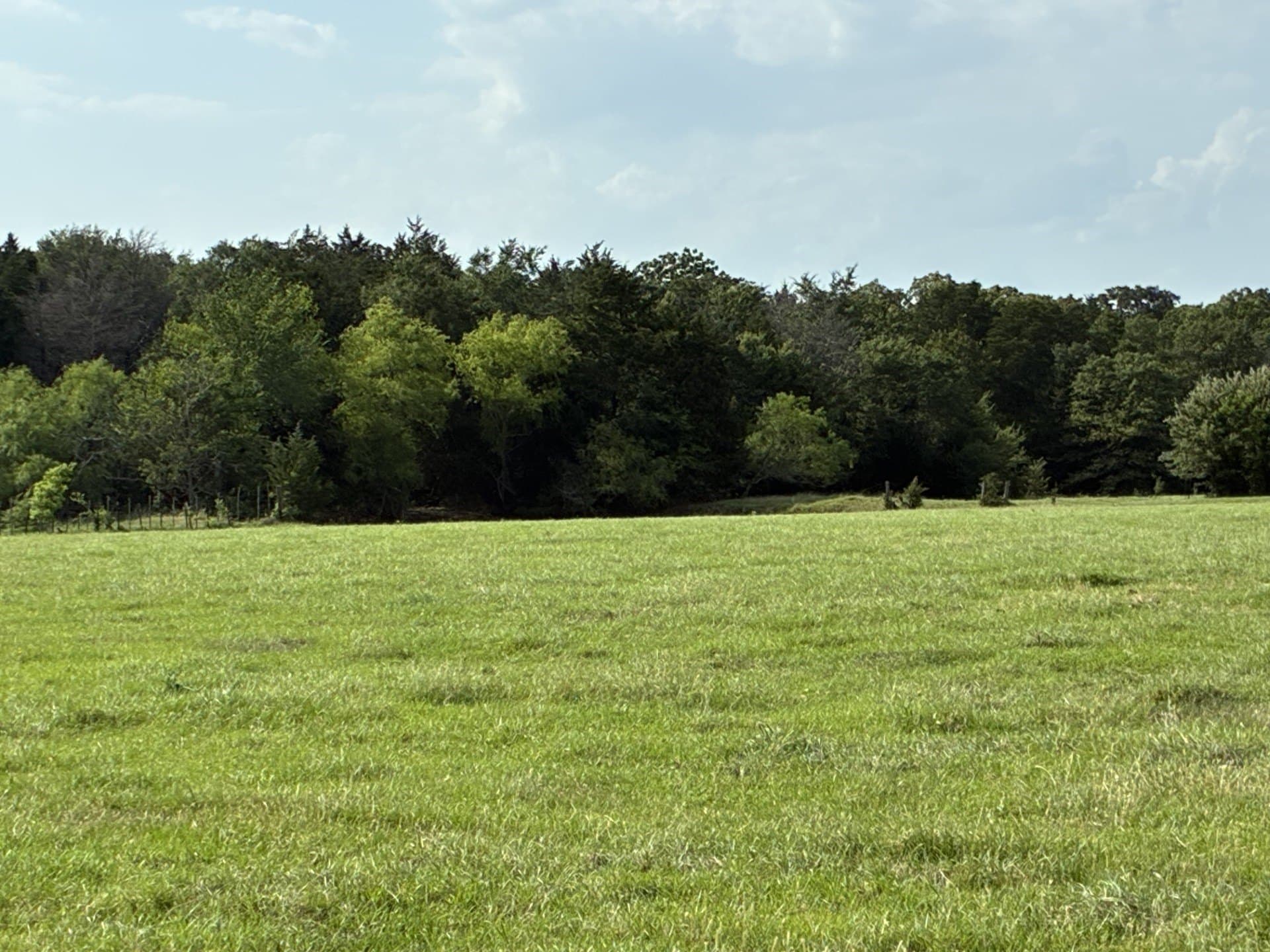 30.23 acres in Freestone County - photo 2