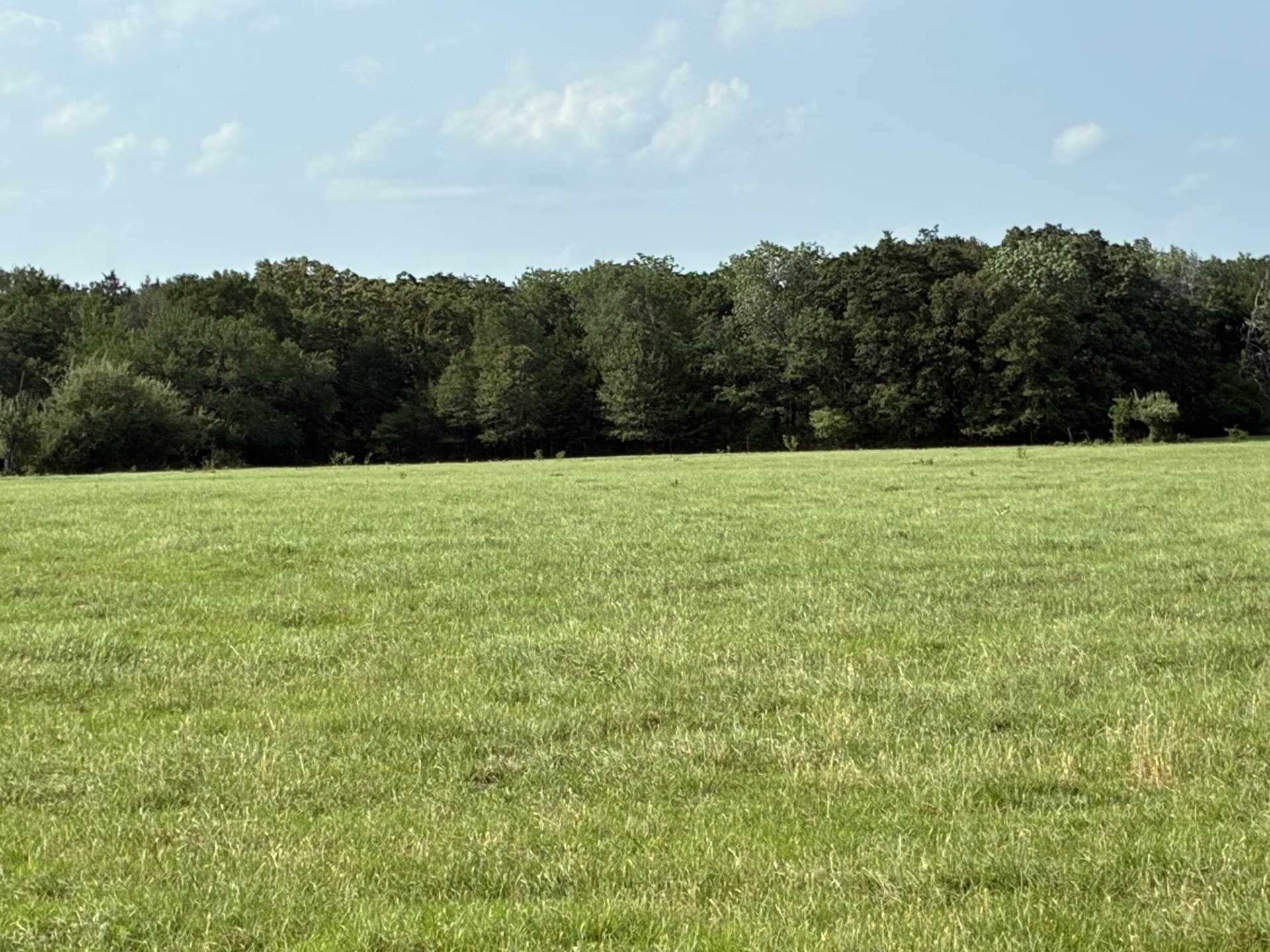 30.23 acres in Freestone County - photo 11