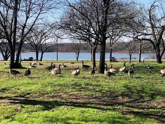 0.47 acres in Denton County featured view