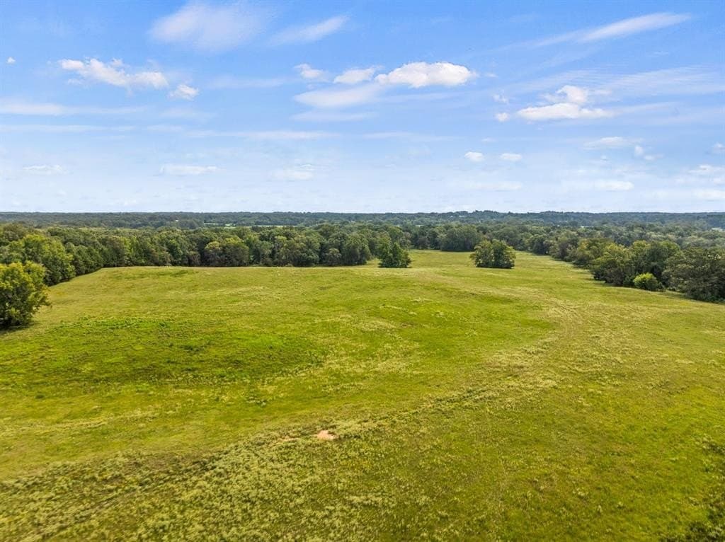 76.94 acres in Titus County gallery image 3