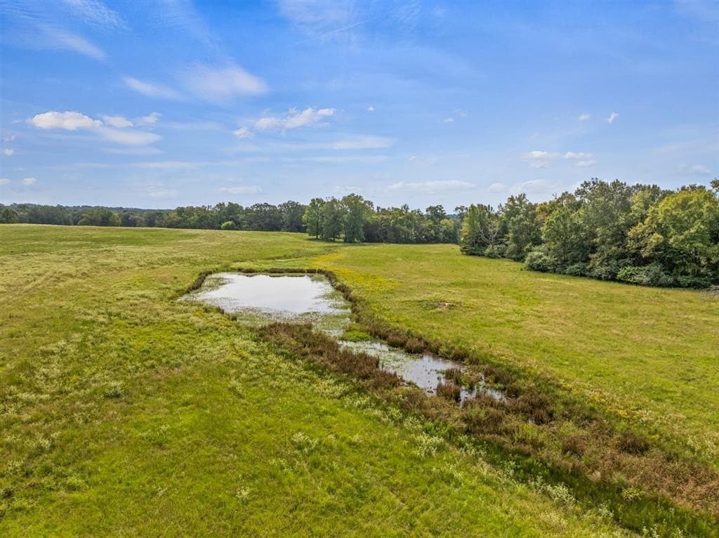 76.94 acres in Titus County gallery image 2