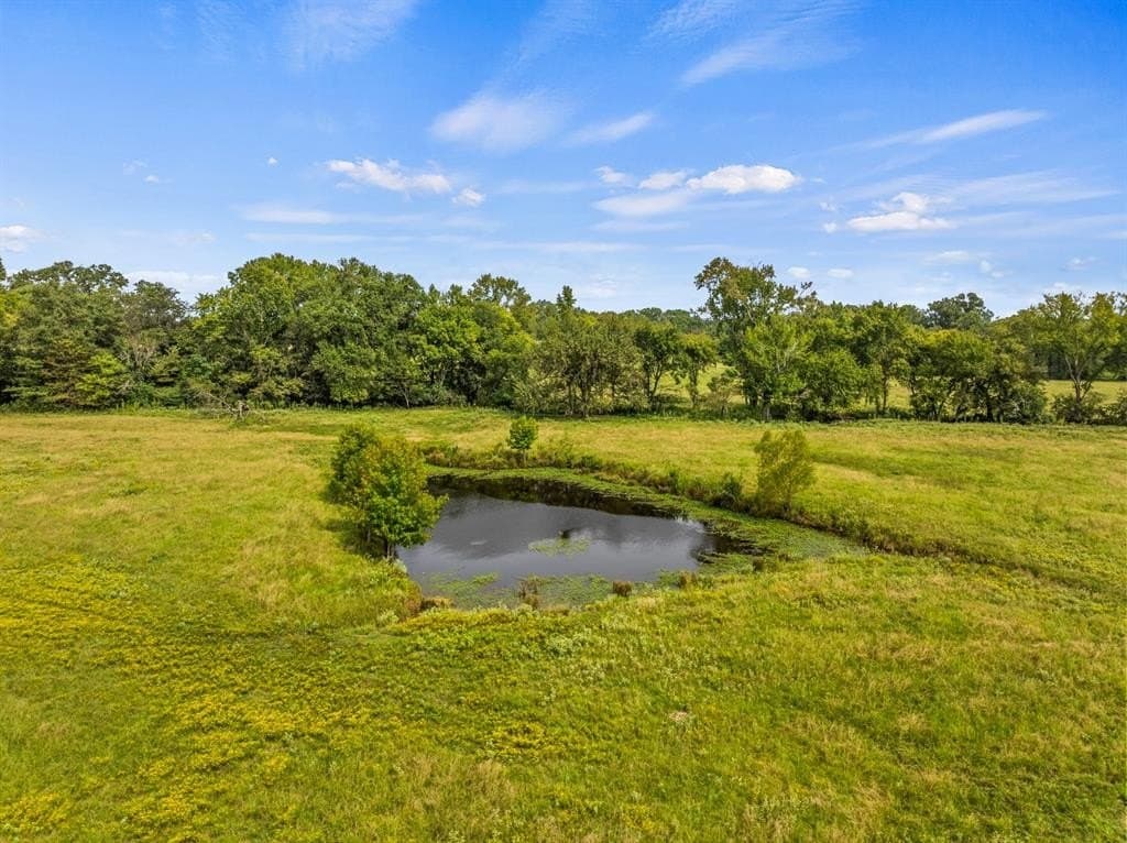 76.94 acres in Titus County featured view