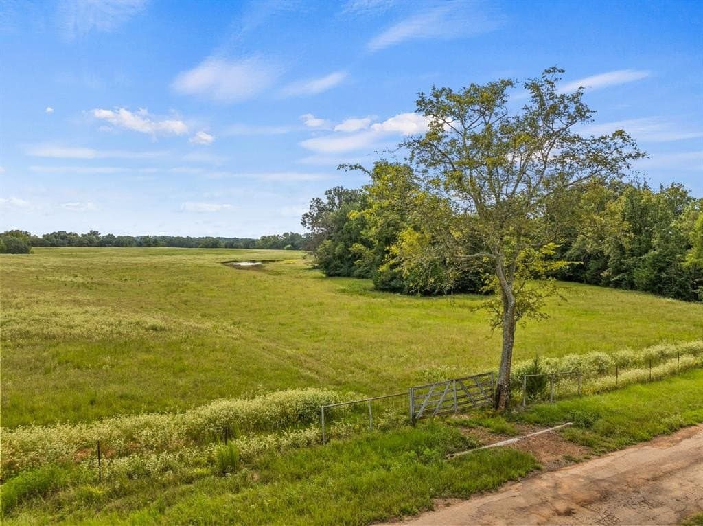 76.94 acres in Titus County