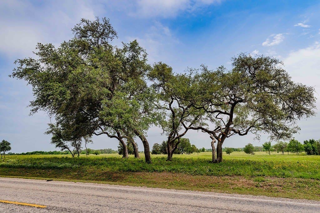 8.75 acres in Fayette County gallery image 2