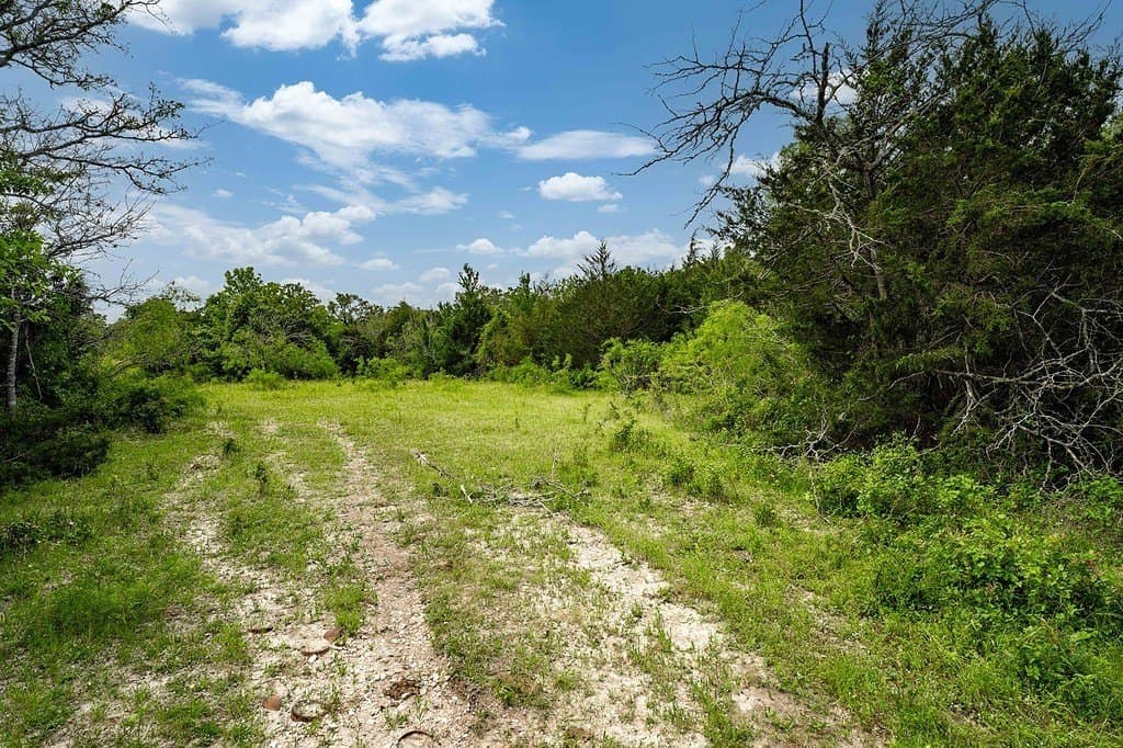 8.75 acres in Fayette County gallery image 3