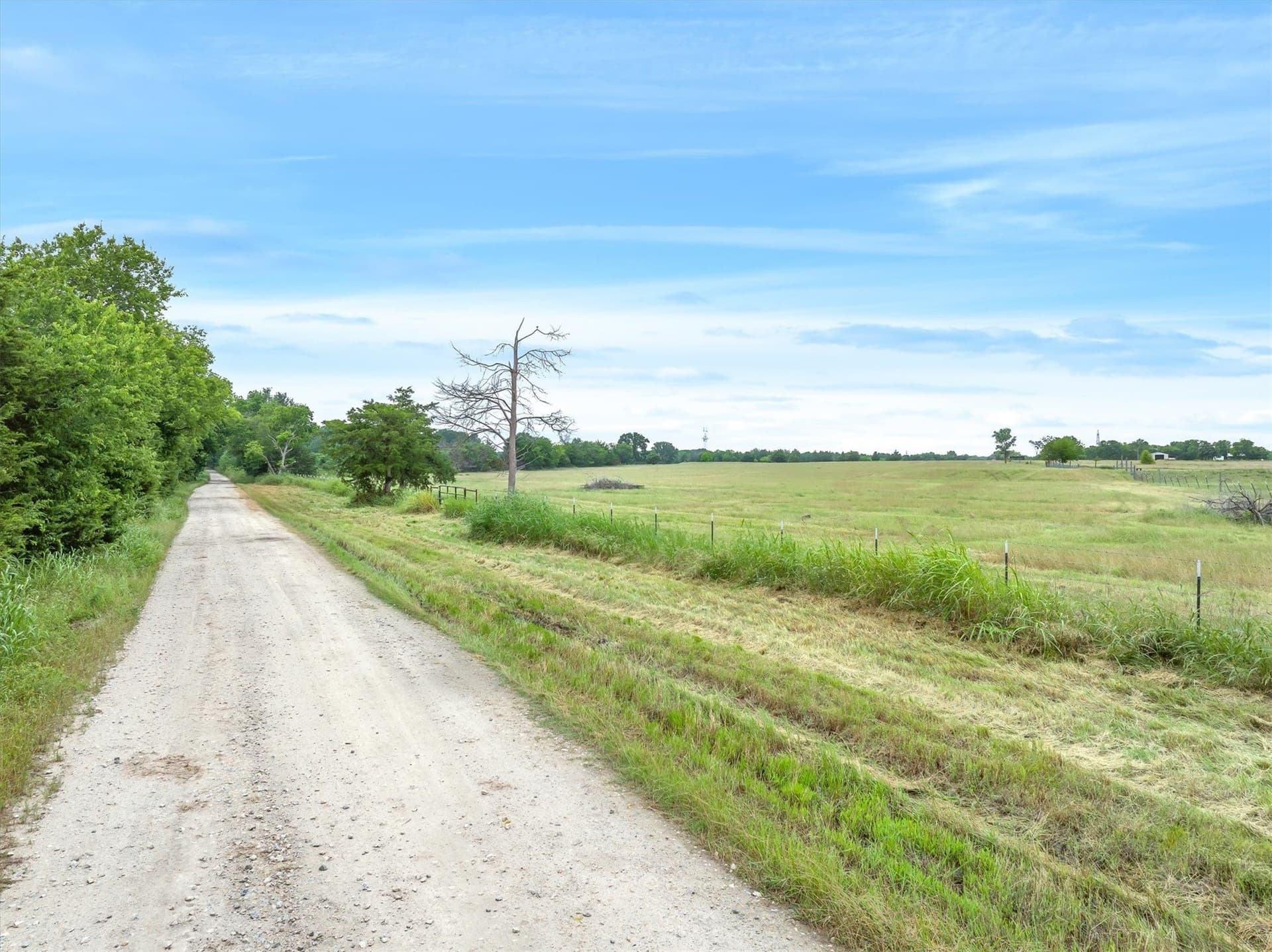 11.68 acres in Van Zandt County - photo 6