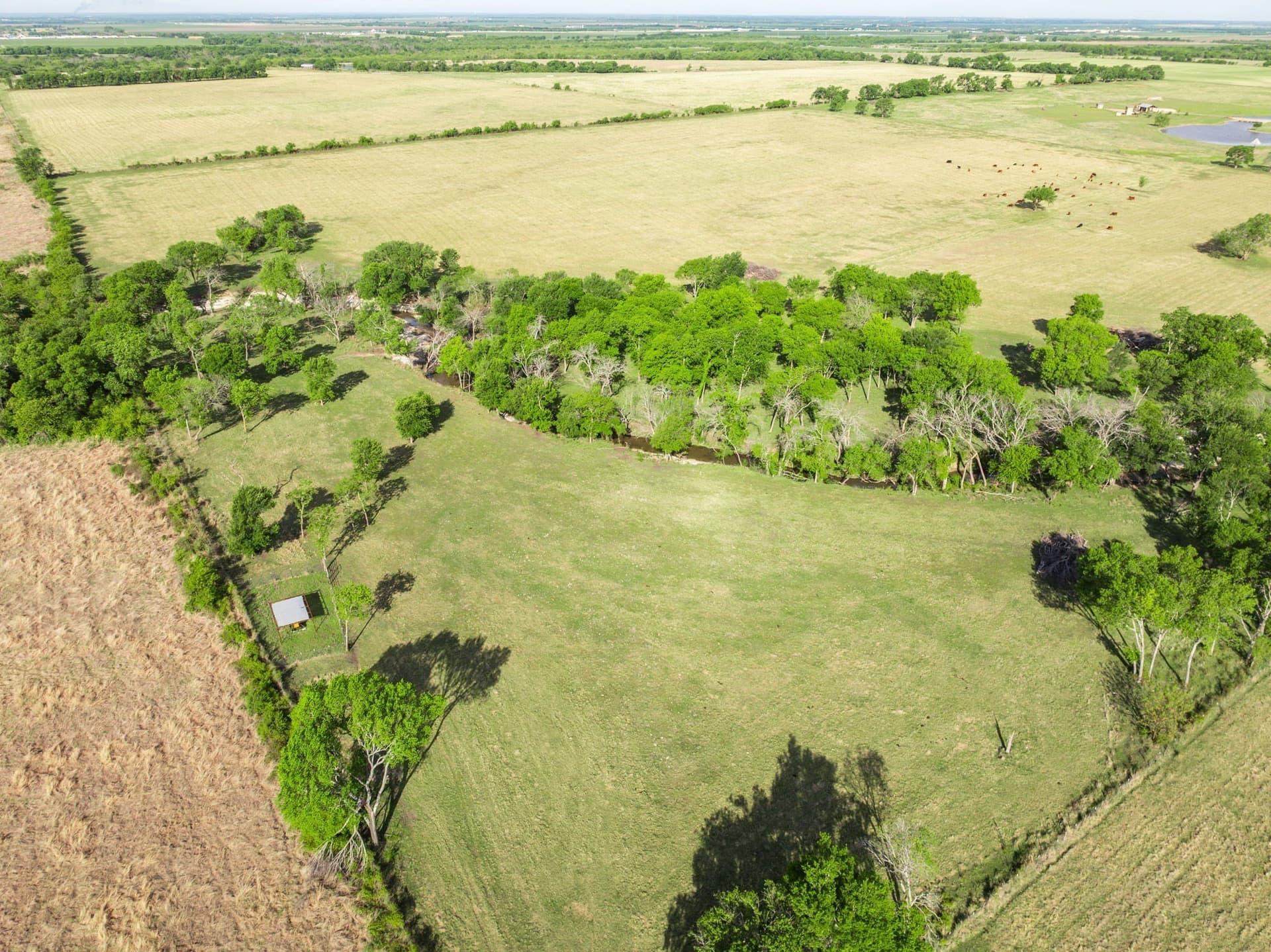 206.36 acres in Hill County - photo 39