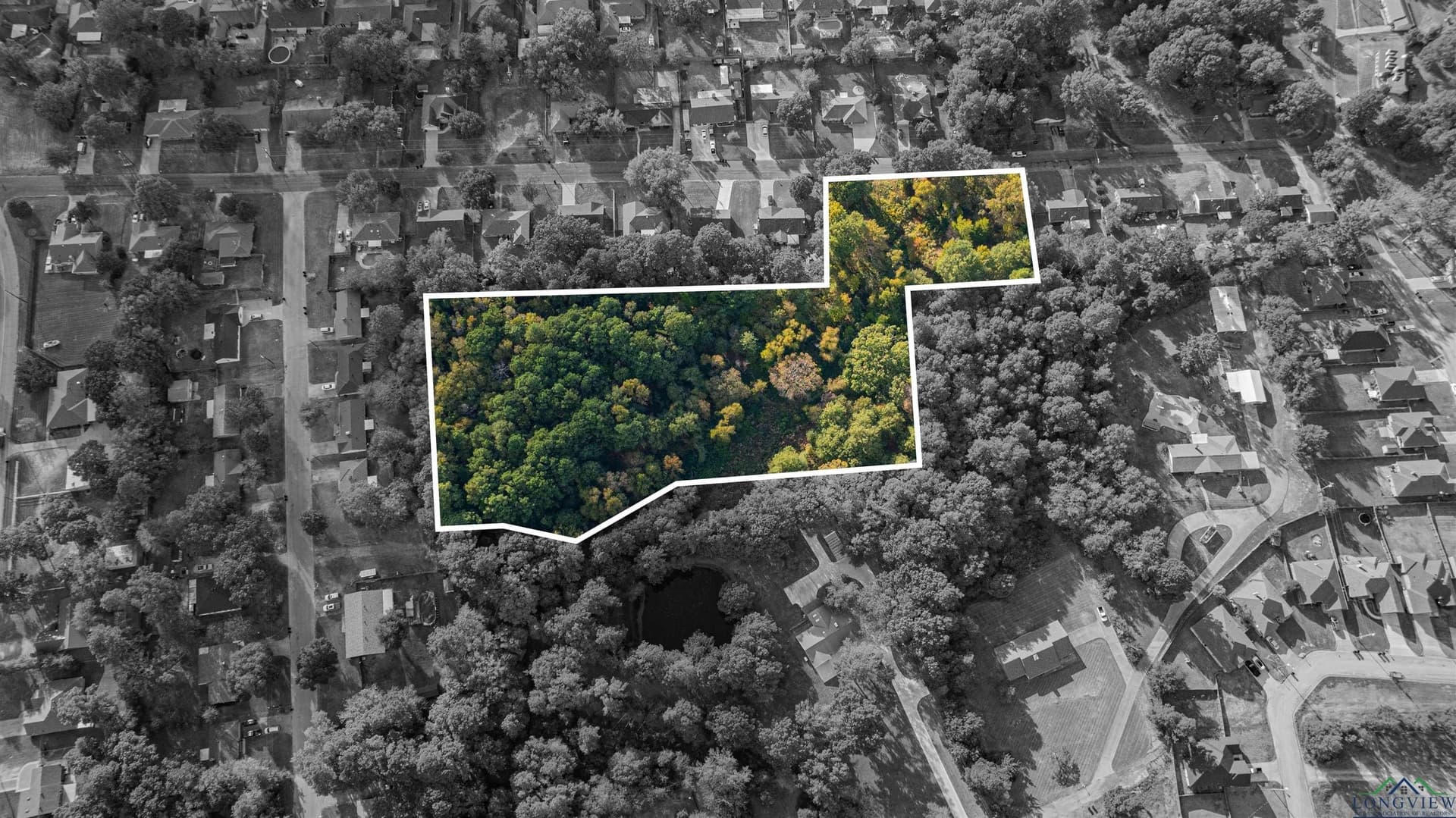 4.84 acres in Gregg County gallery image 4