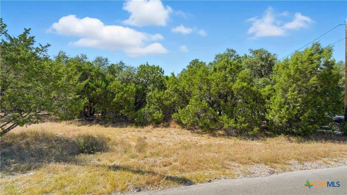 0.23 acres in Comal County - photo 8