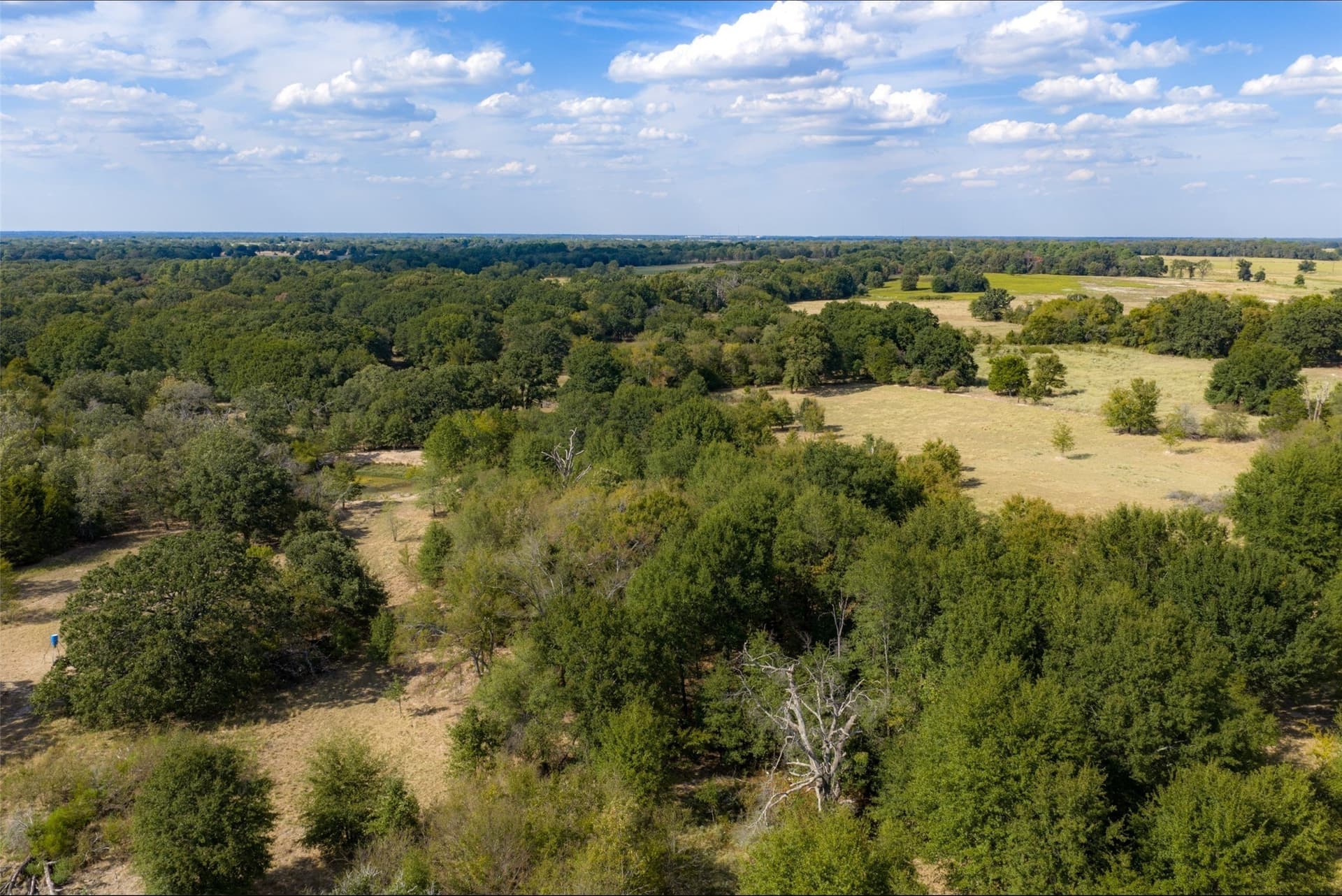 27.8 acres in Van Zandt County - photo 6