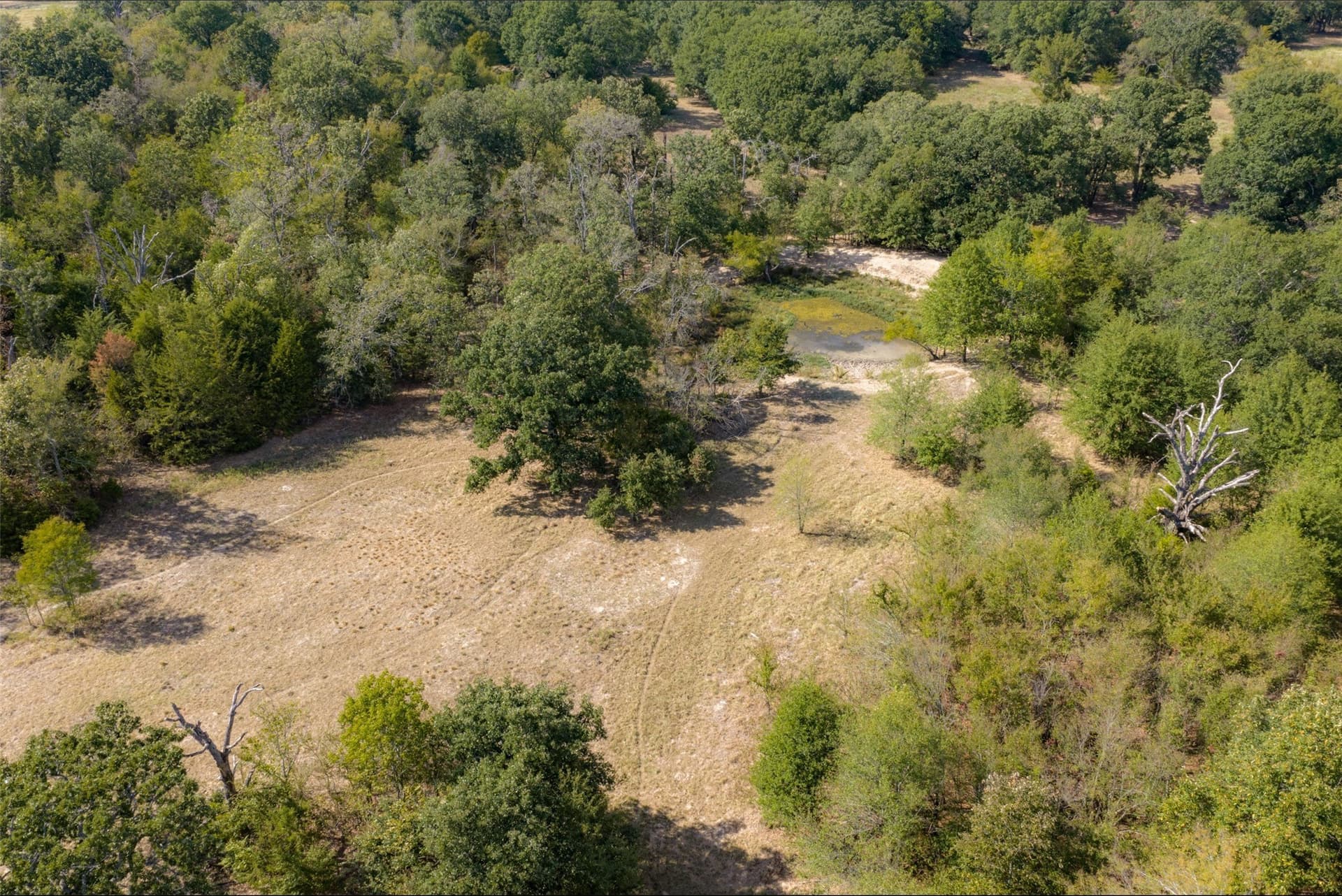 27.8 acres in Van Zandt County - photo 16