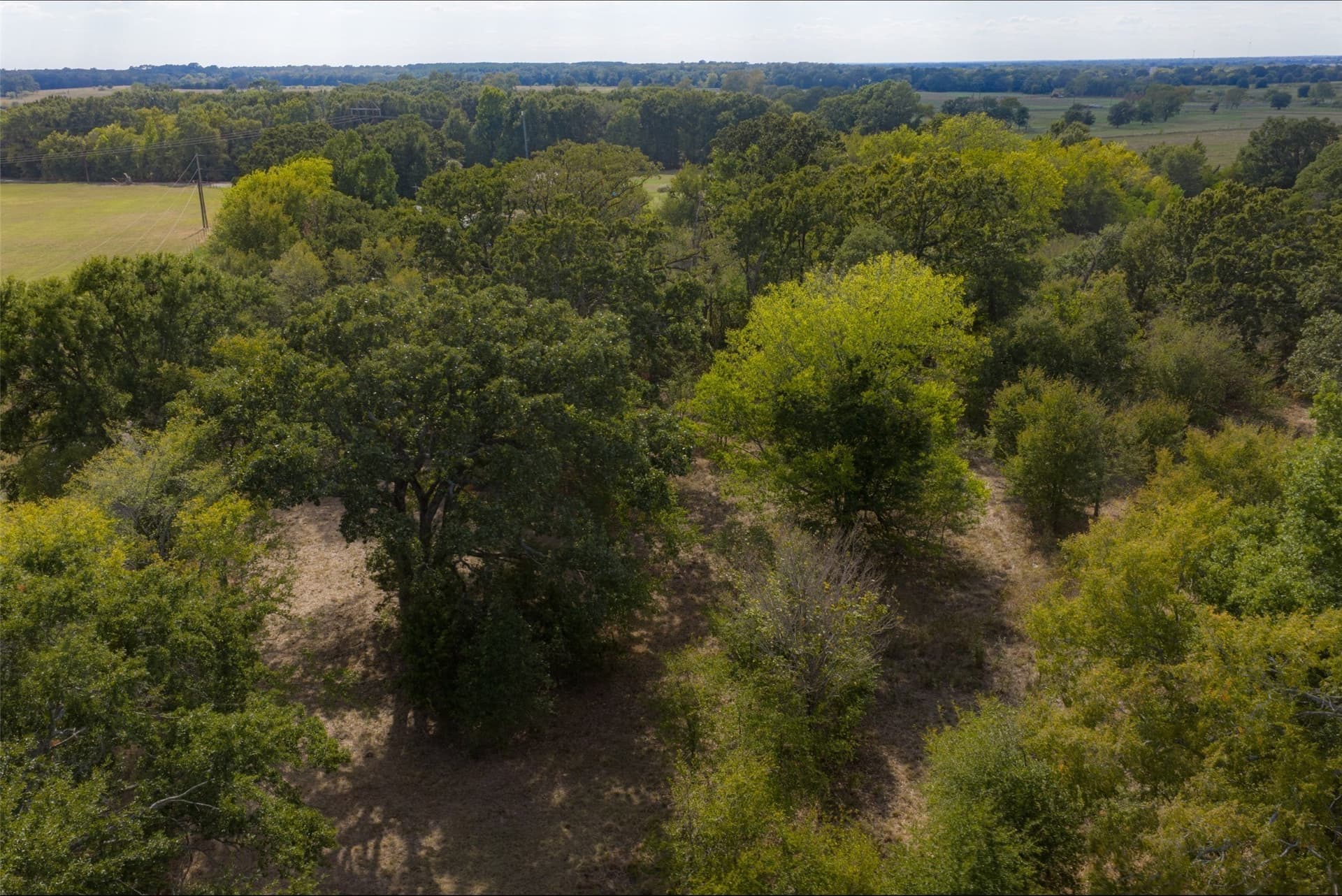 27.8 acres in Van Zandt County - photo 24
