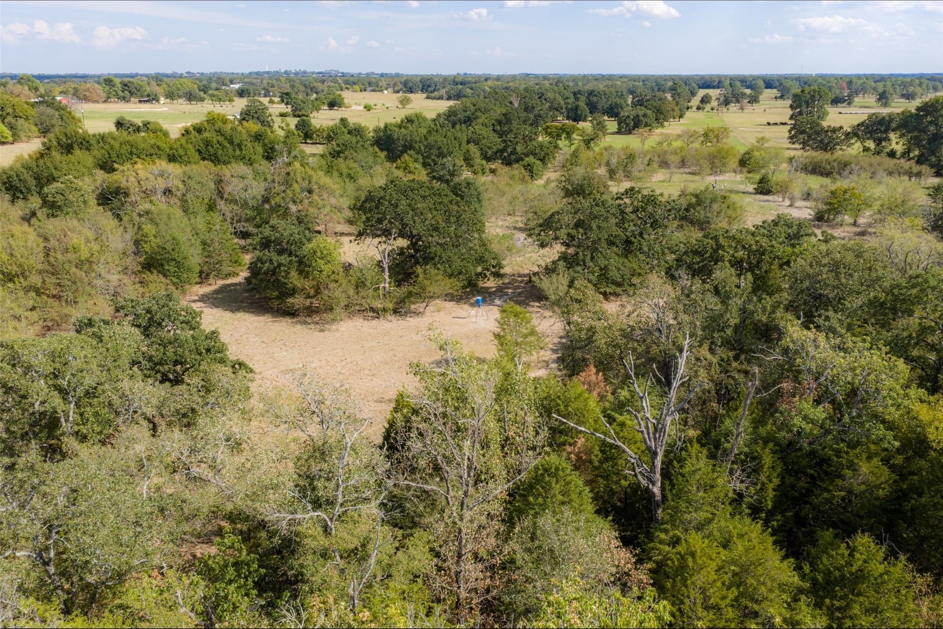 27.8 acres in Van Zandt County - photo 15