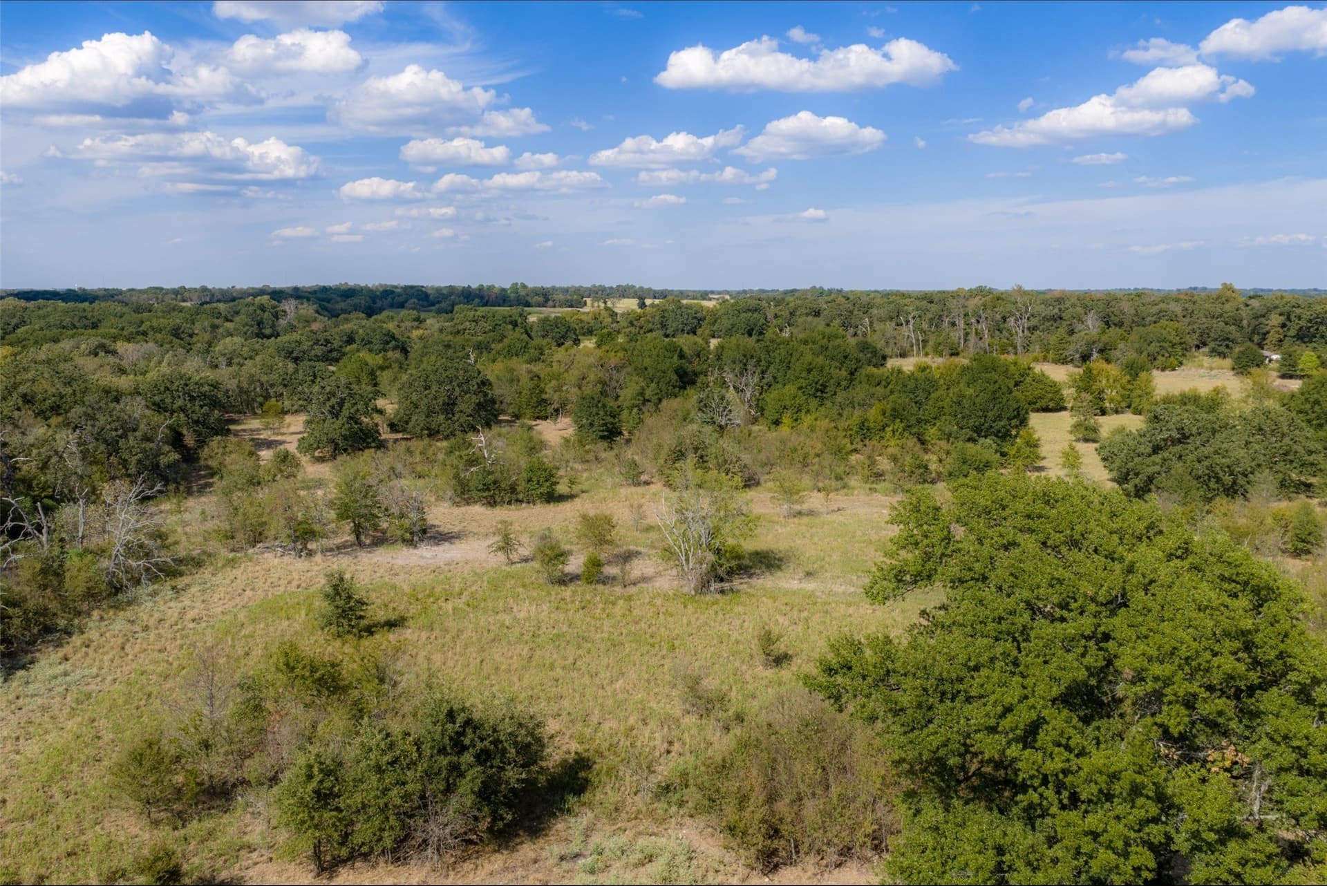27.8 acres in Van Zandt County - photo 4