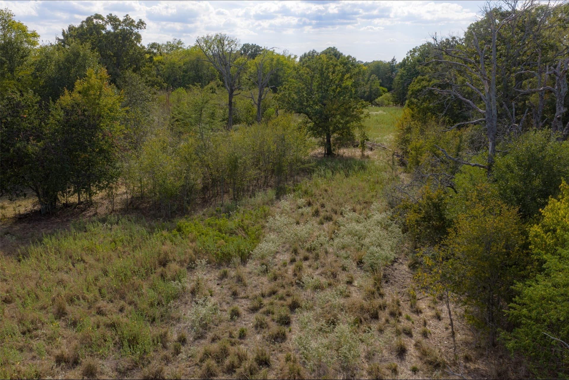 27.8 acres in Van Zandt County - photo 31