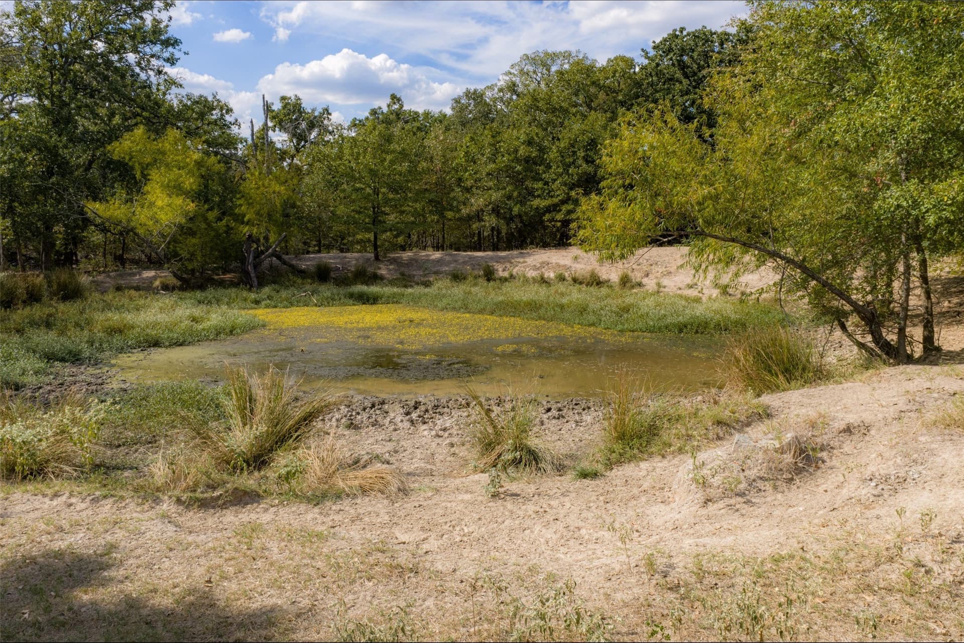 27.8 acres in Van Zandt County - photo 19