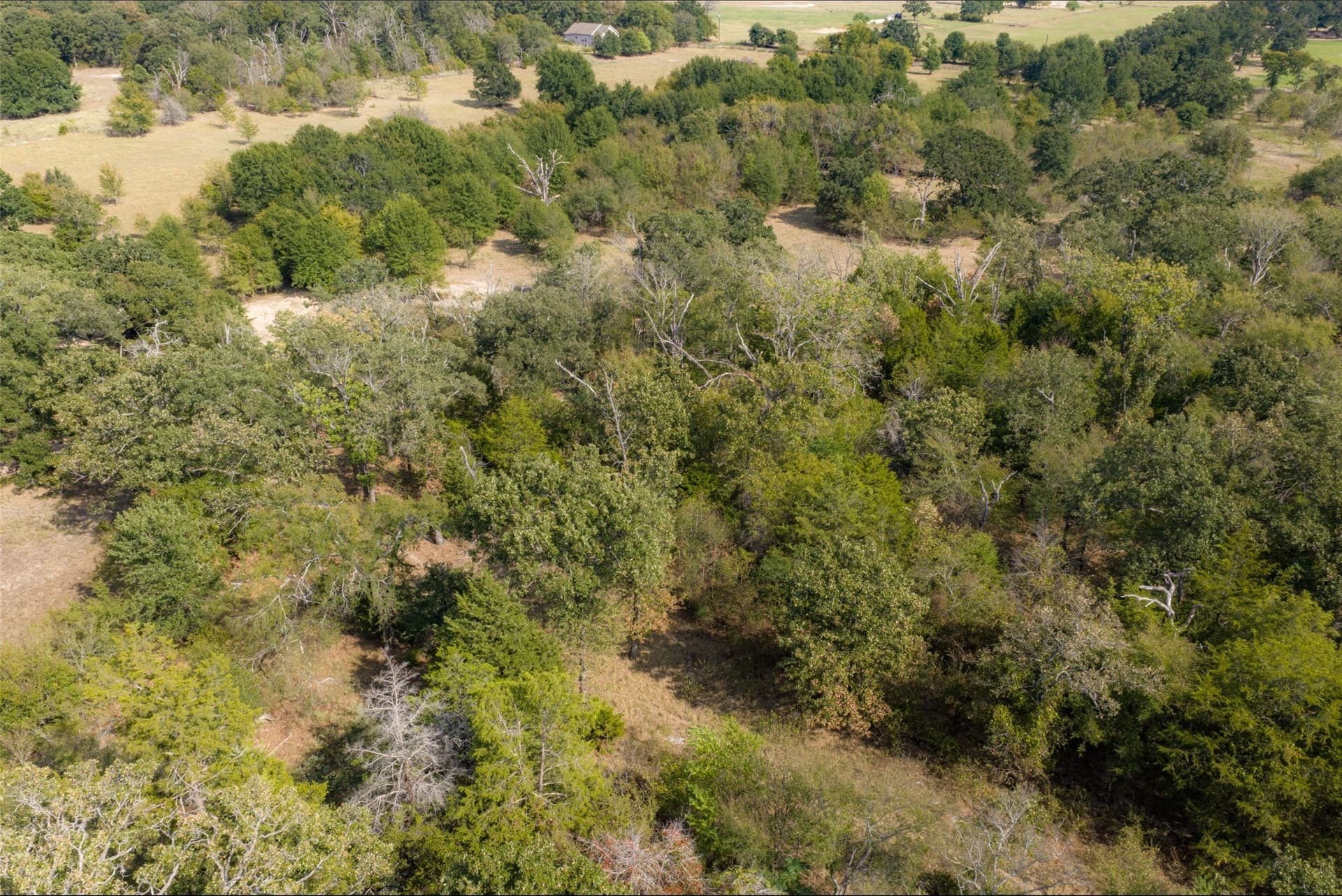 27.8 acres in Van Zandt County - photo 26