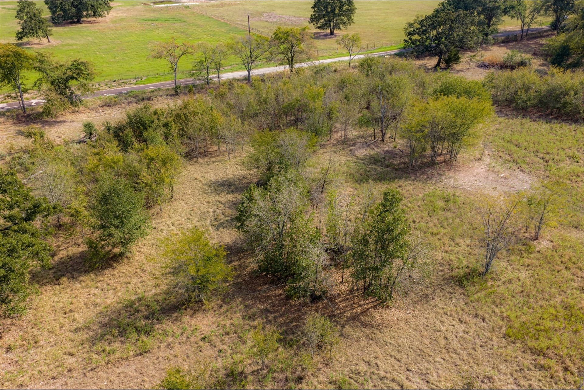 27.8 acres in Van Zandt County - photo 11