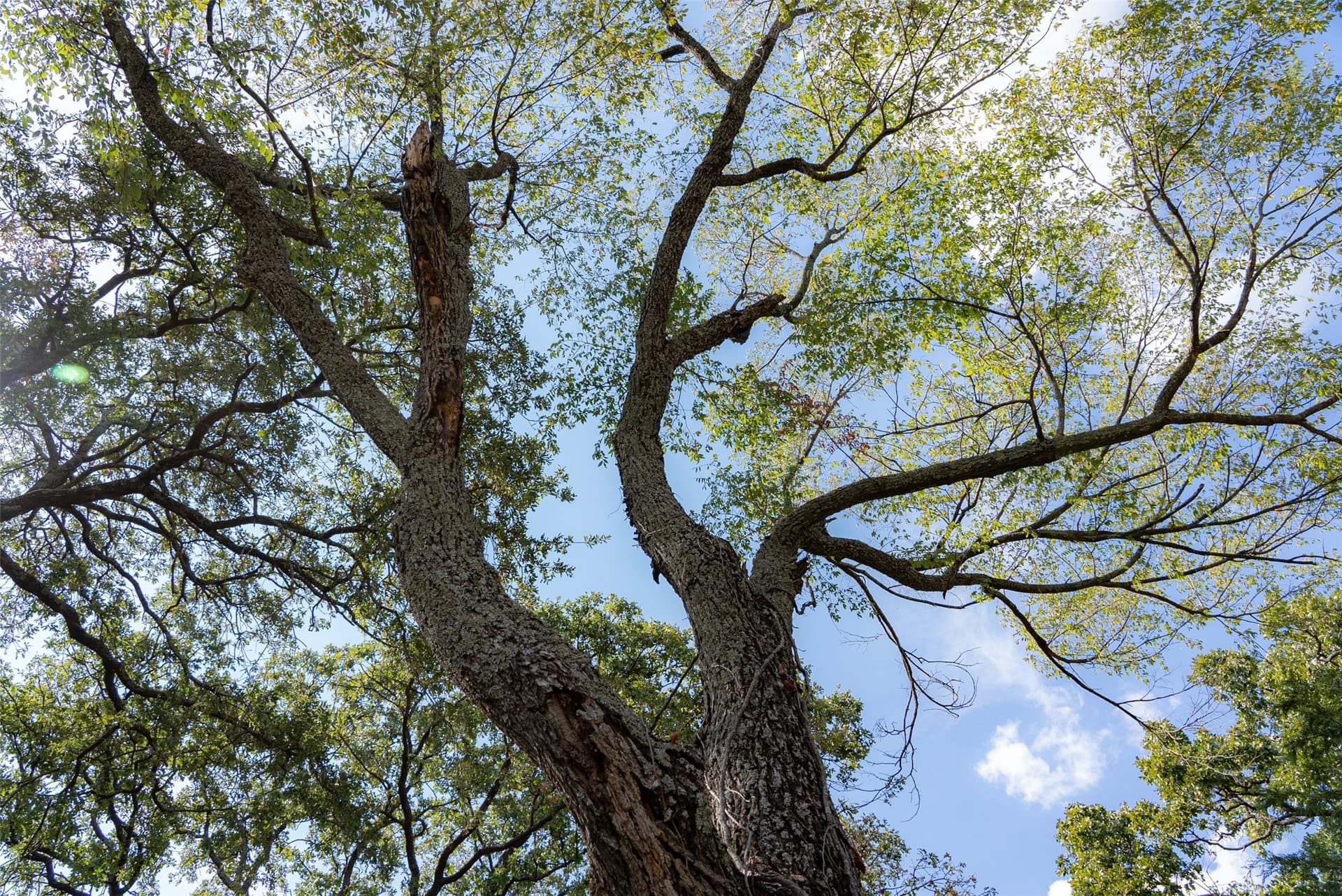 27.8 acres in Van Zandt County - photo 37