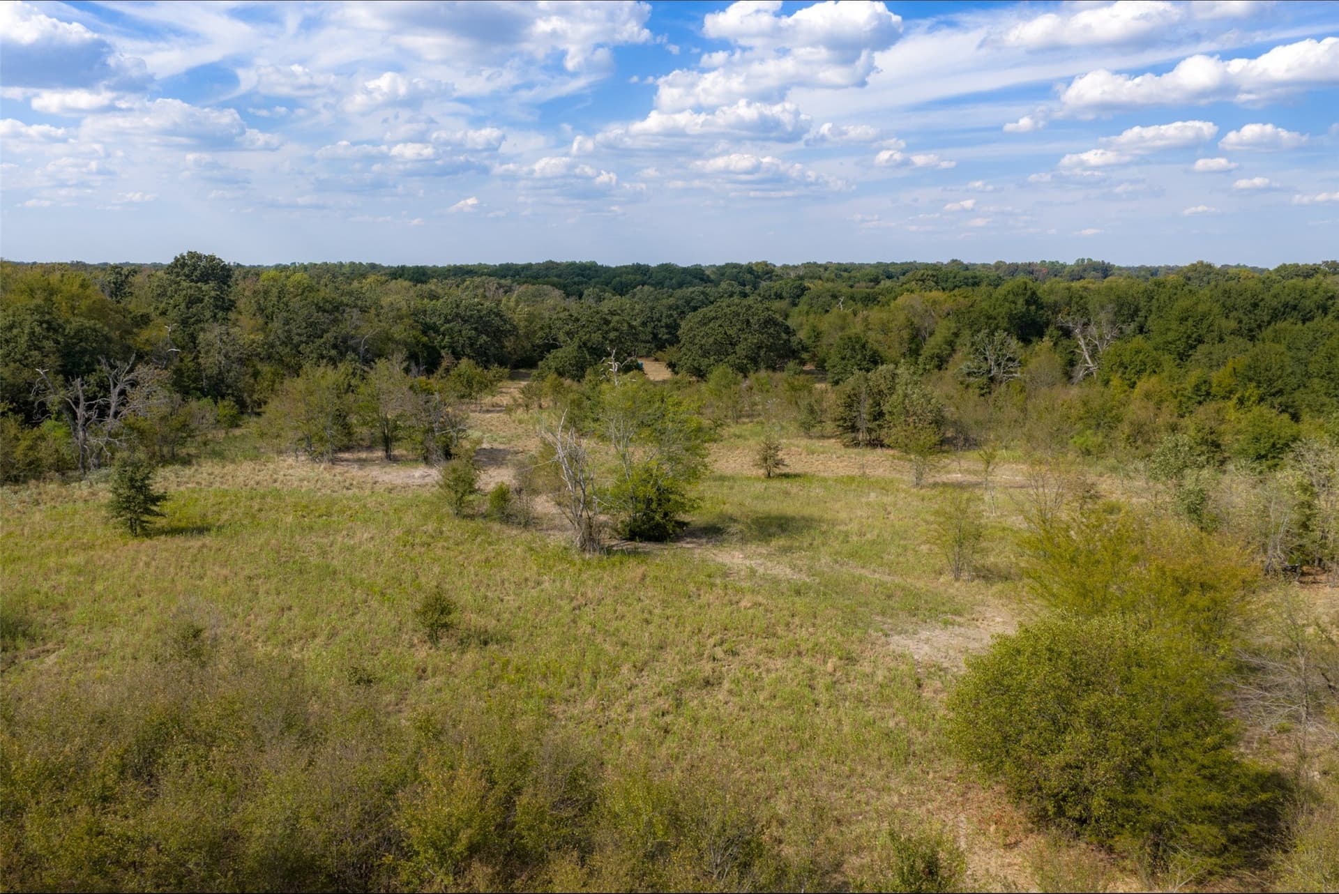 27.8 acres in Van Zandt County - photo 9