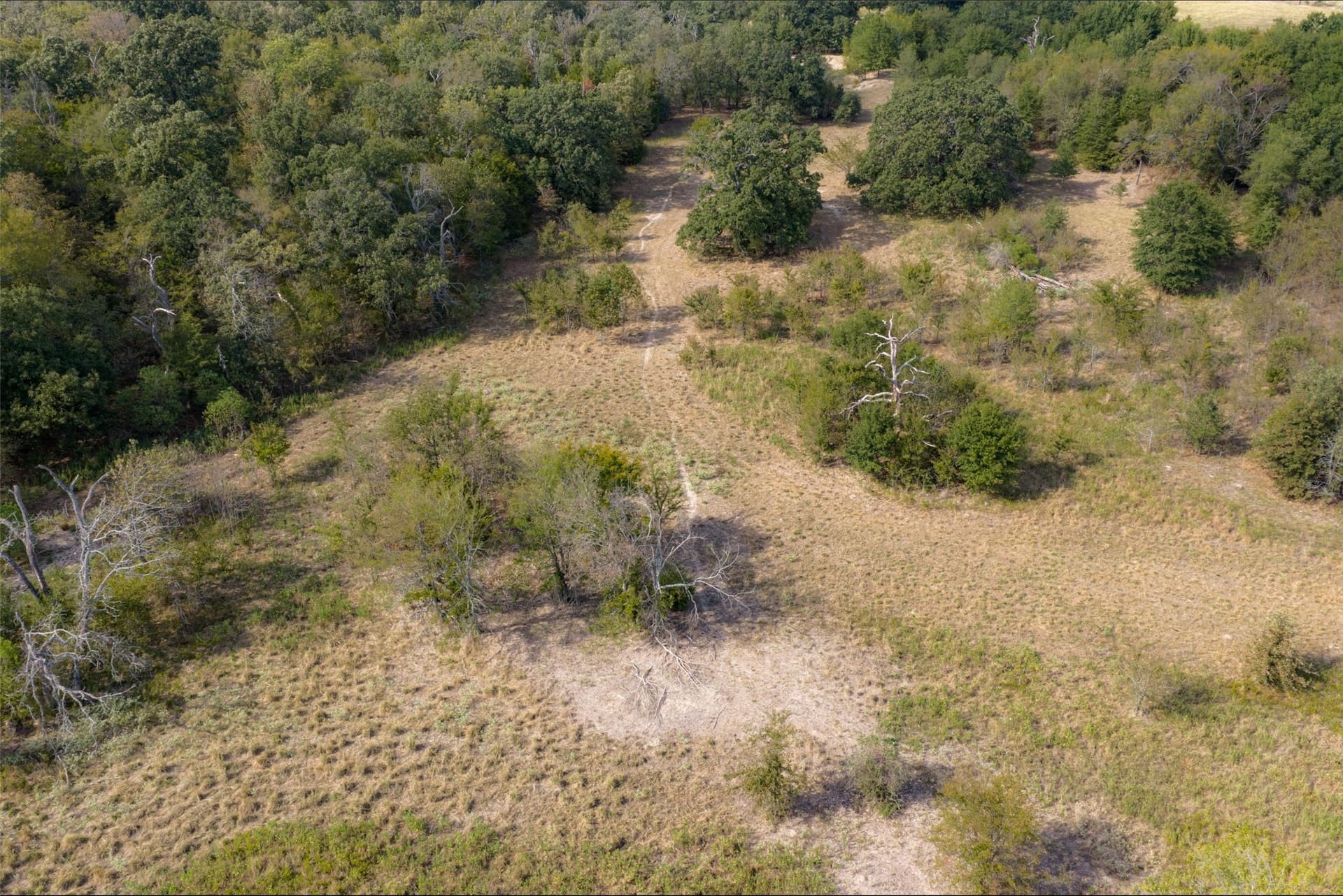 27.8 acres in Van Zandt County - photo 30