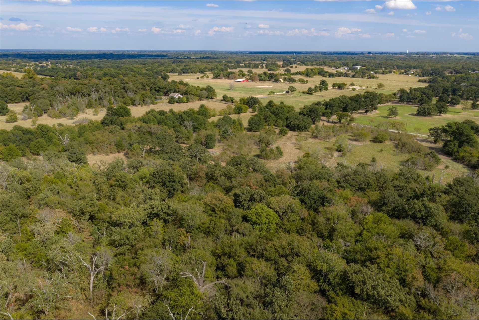 27.8 acres in Van Zandt County - photo 2