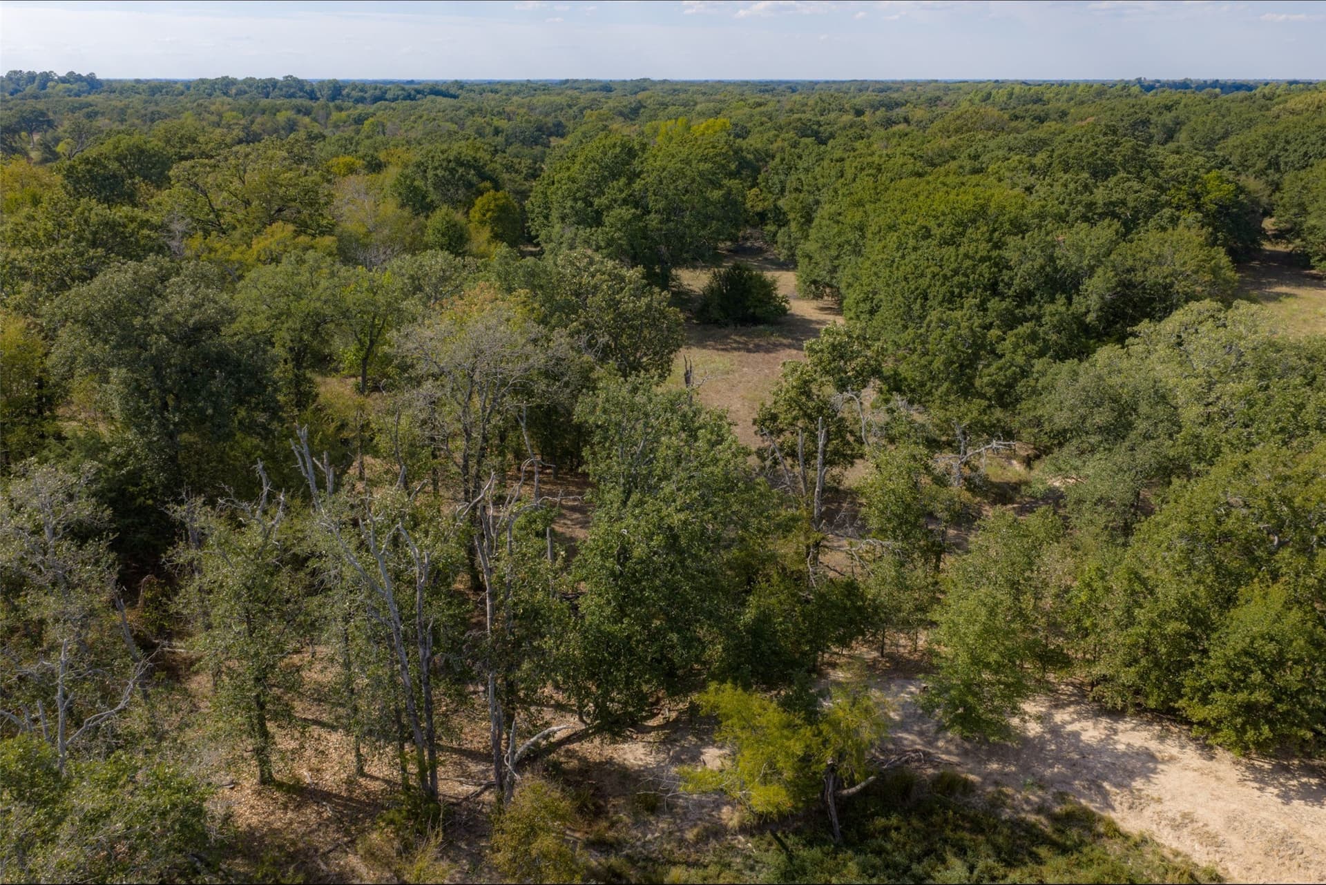 27.8 acres in Van Zandt County - photo 17