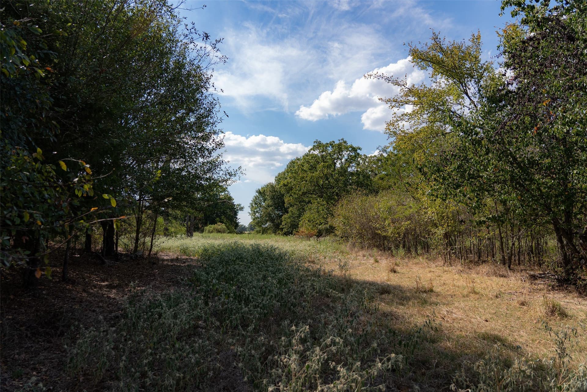 27.8 acres in Van Zandt County - photo 34