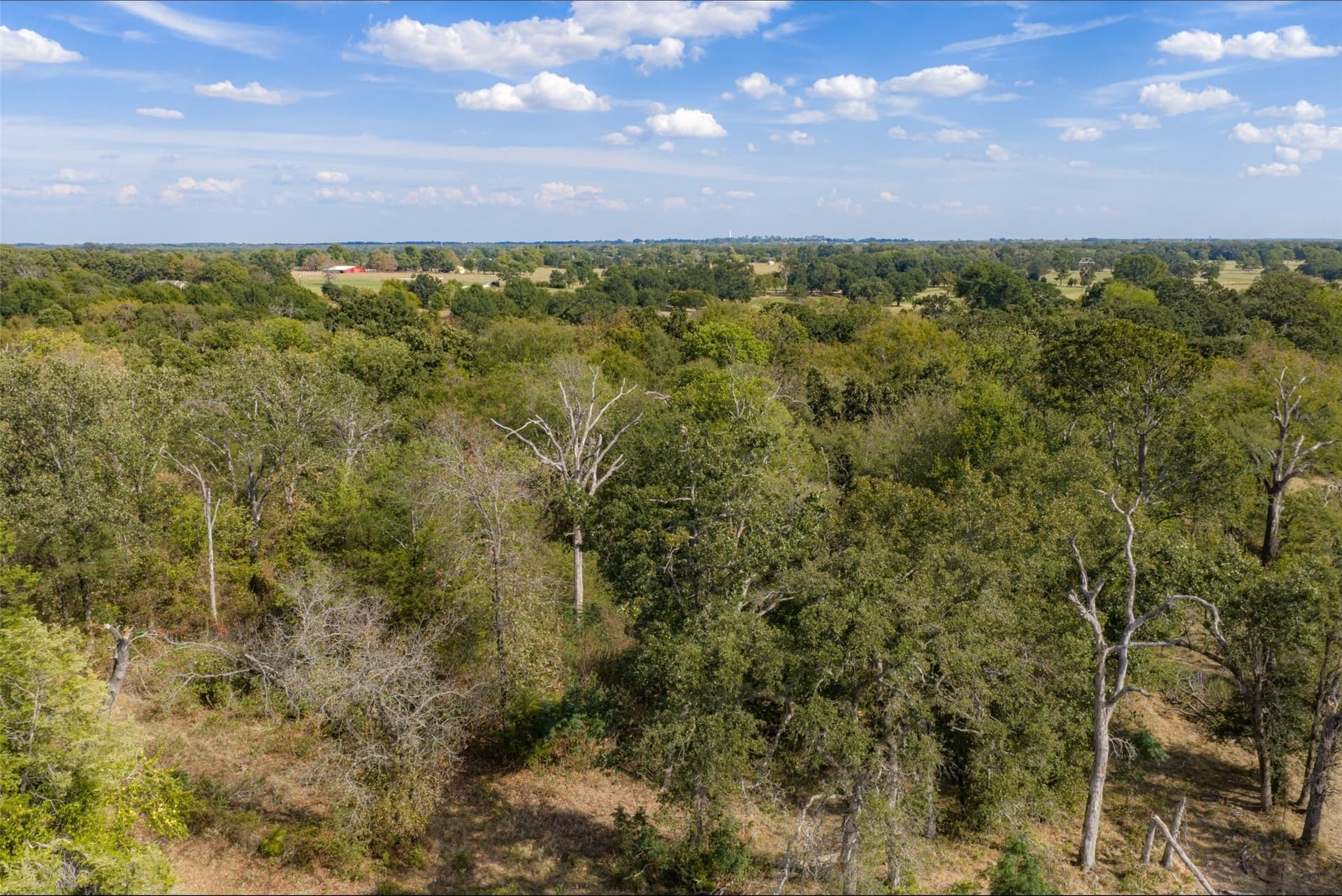 27.8 acres in Van Zandt County - photo 25