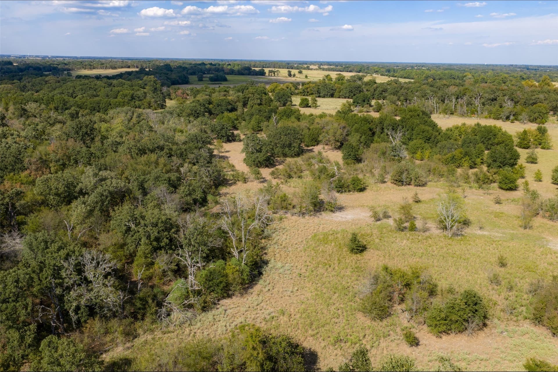 27.8 acres in Van Zandt County - photo 3