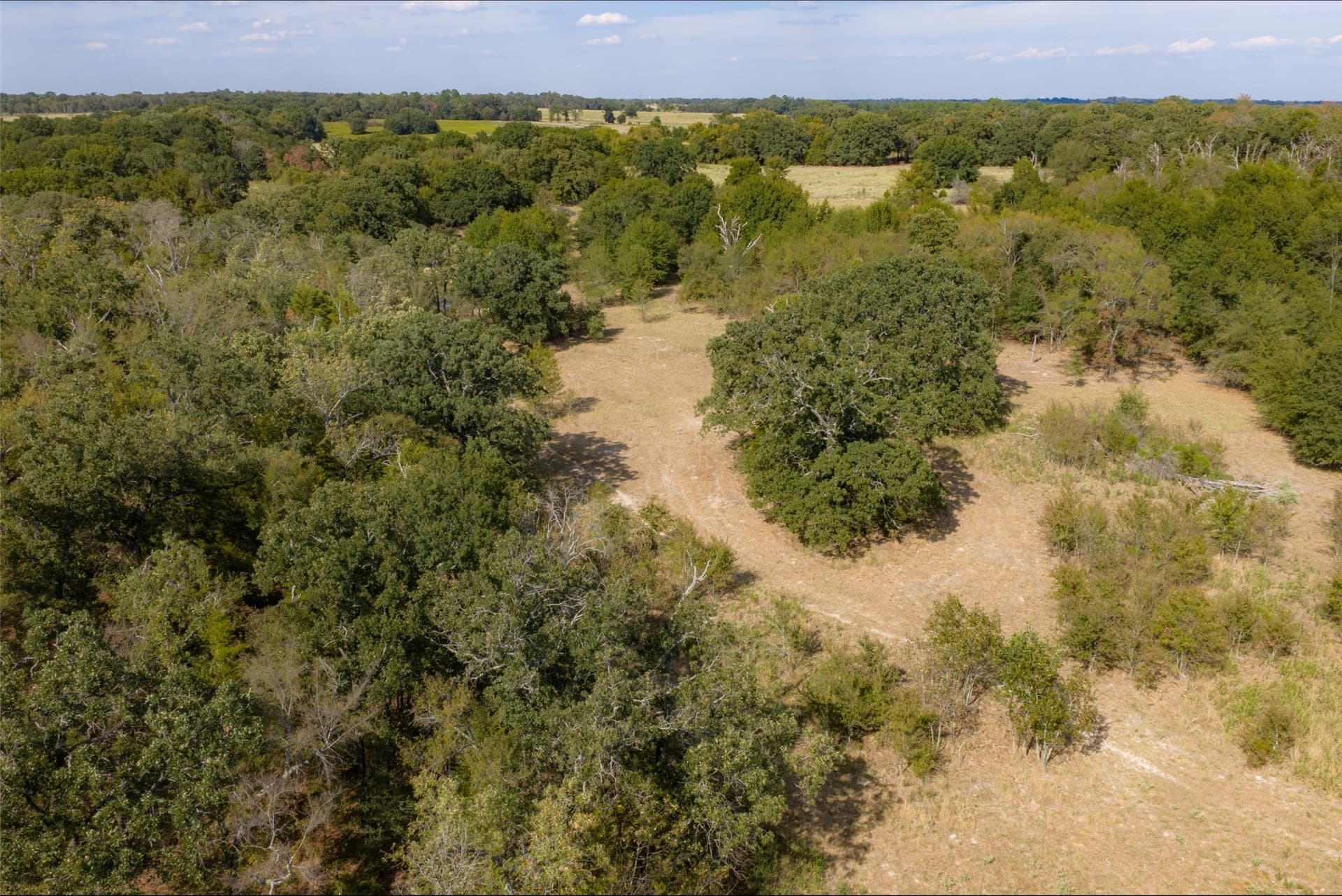 27.8 acres in Van Zandt County - photo 27
