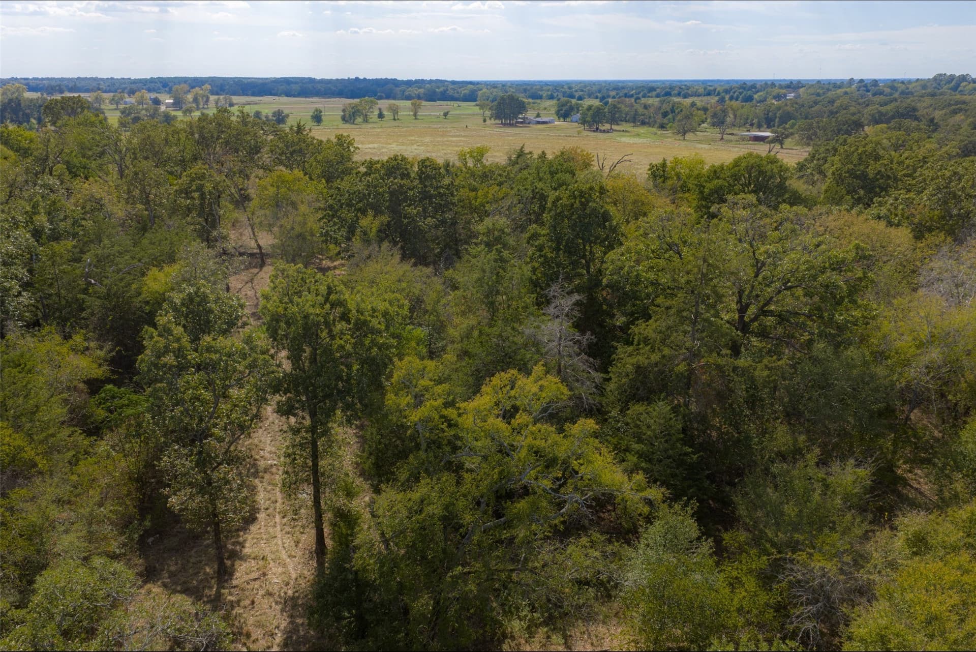27.8 acres in Van Zandt County - photo 18