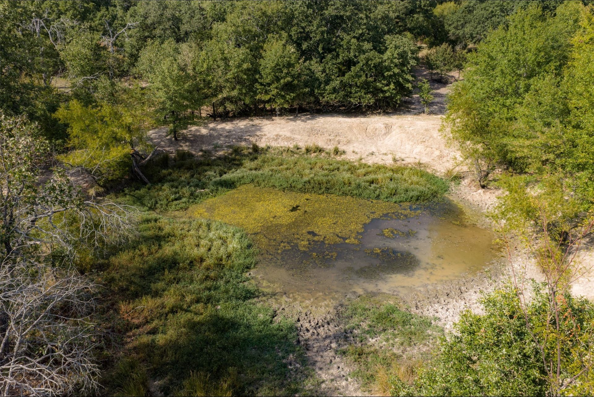 27.8 acres in Van Zandt County - photo 22