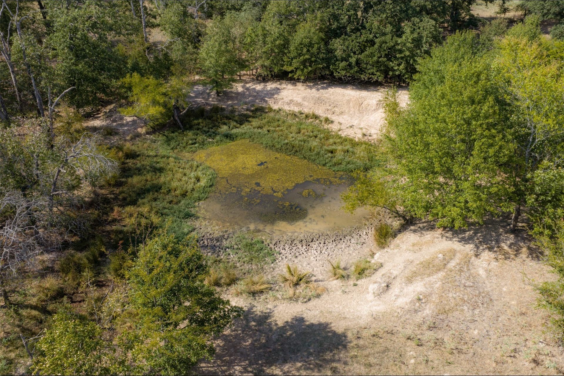 27.8 acres in Van Zandt County - photo 20