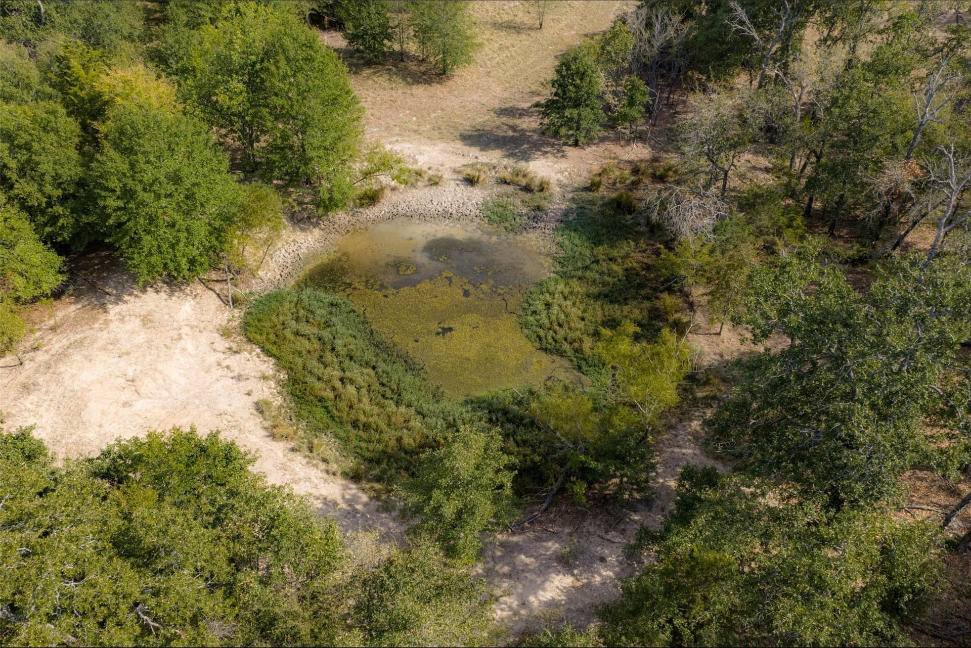 27.8 acres in Van Zandt County - photo 21