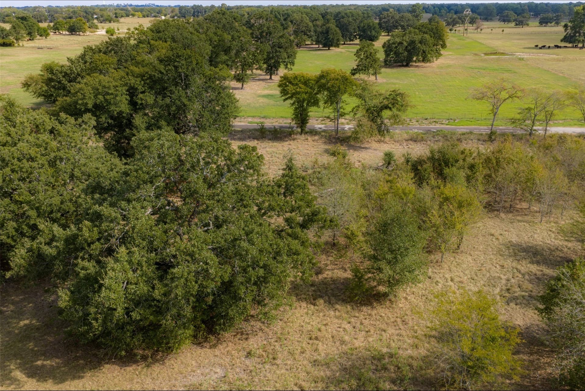 27.8 acres in Van Zandt County - photo 10