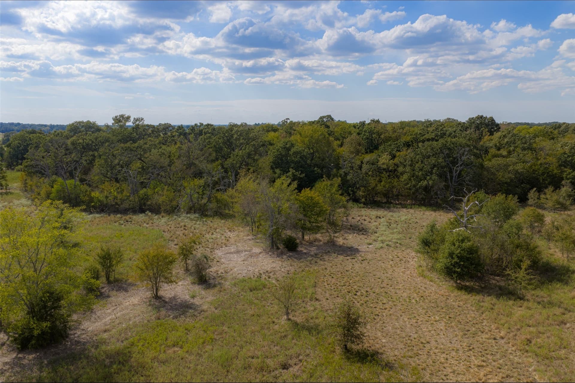 27.8 acres in Van Zandt County - photo 7