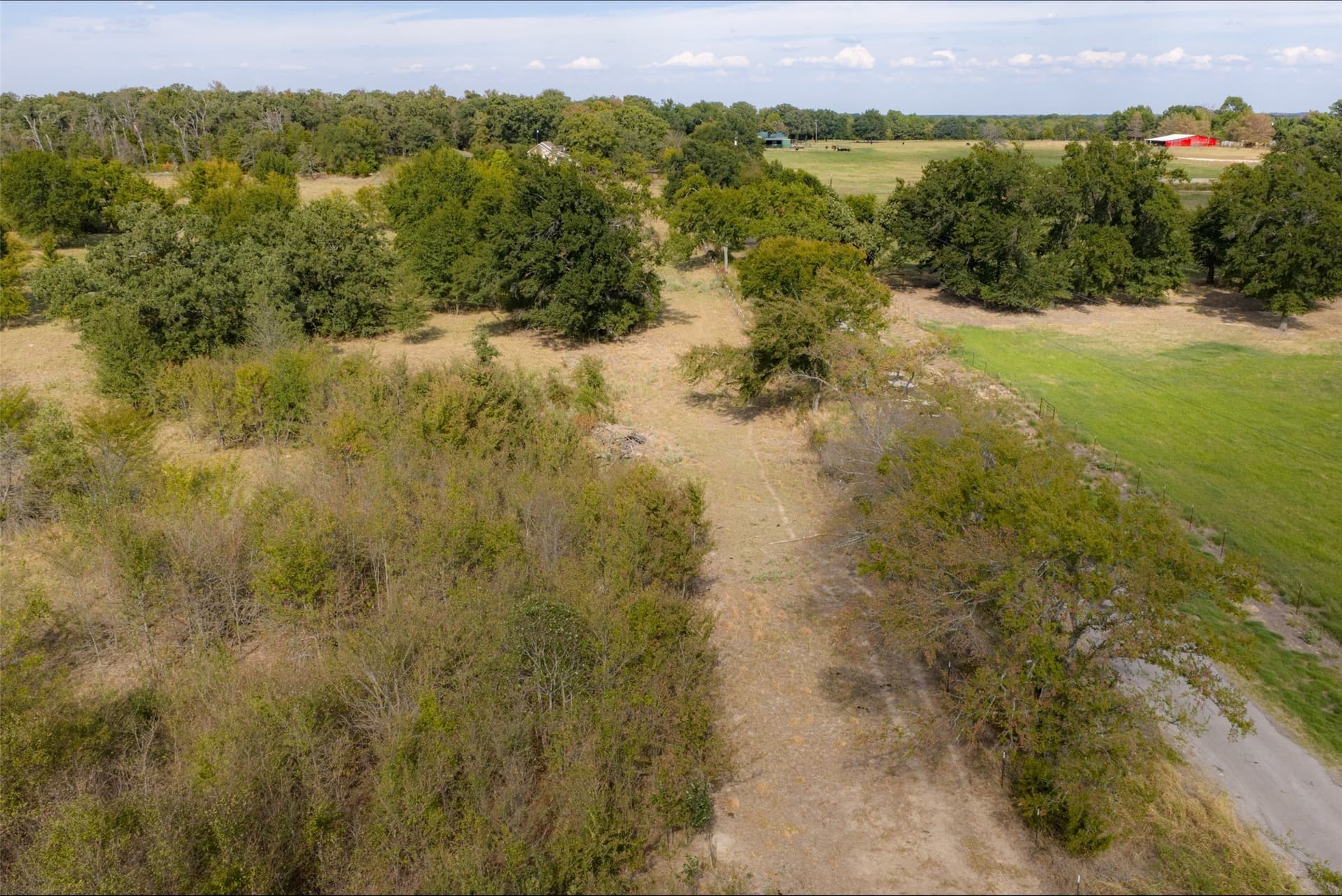 27.8 acres in Van Zandt County - photo 12