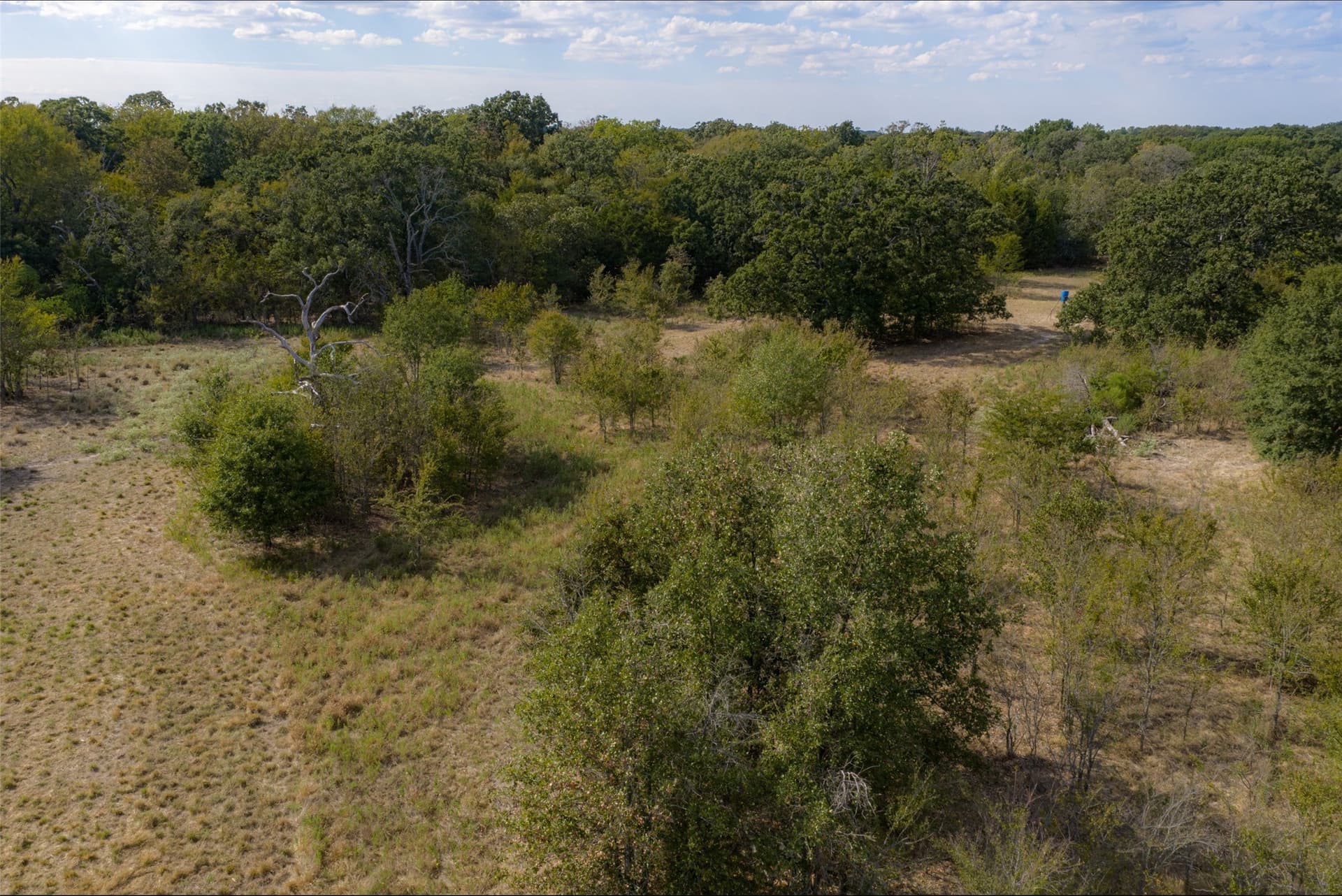 27.8 acres in Van Zandt County - photo 8