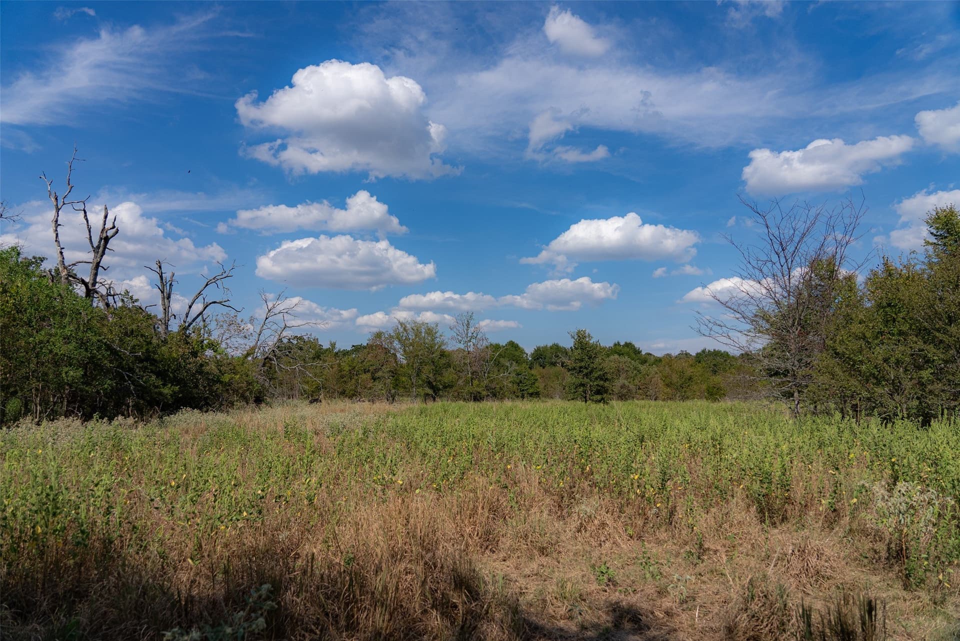 27.8 acres in Van Zandt County - photo 32