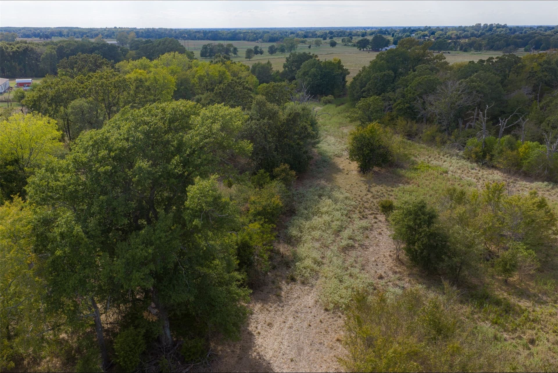 27.8 acres in Van Zandt County - photo 29
