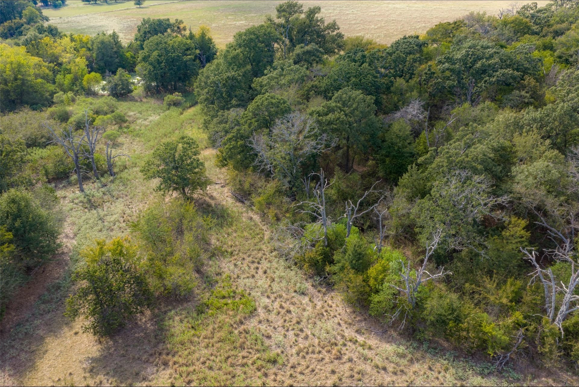 27.8 acres in Van Zandt County - photo 23